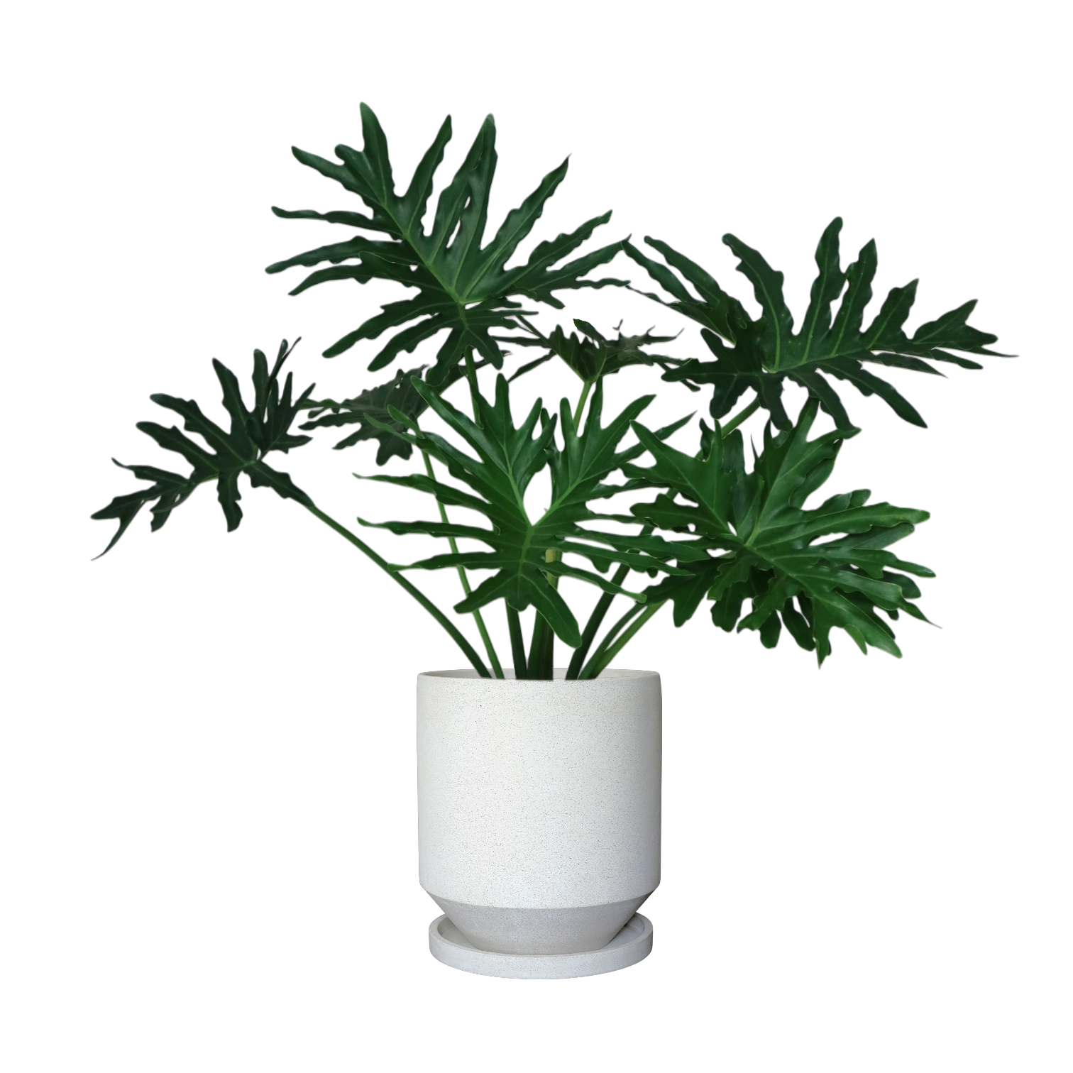 ENKEL Teacup-Shaped Terrazzo Pot W28cm (Off-white)