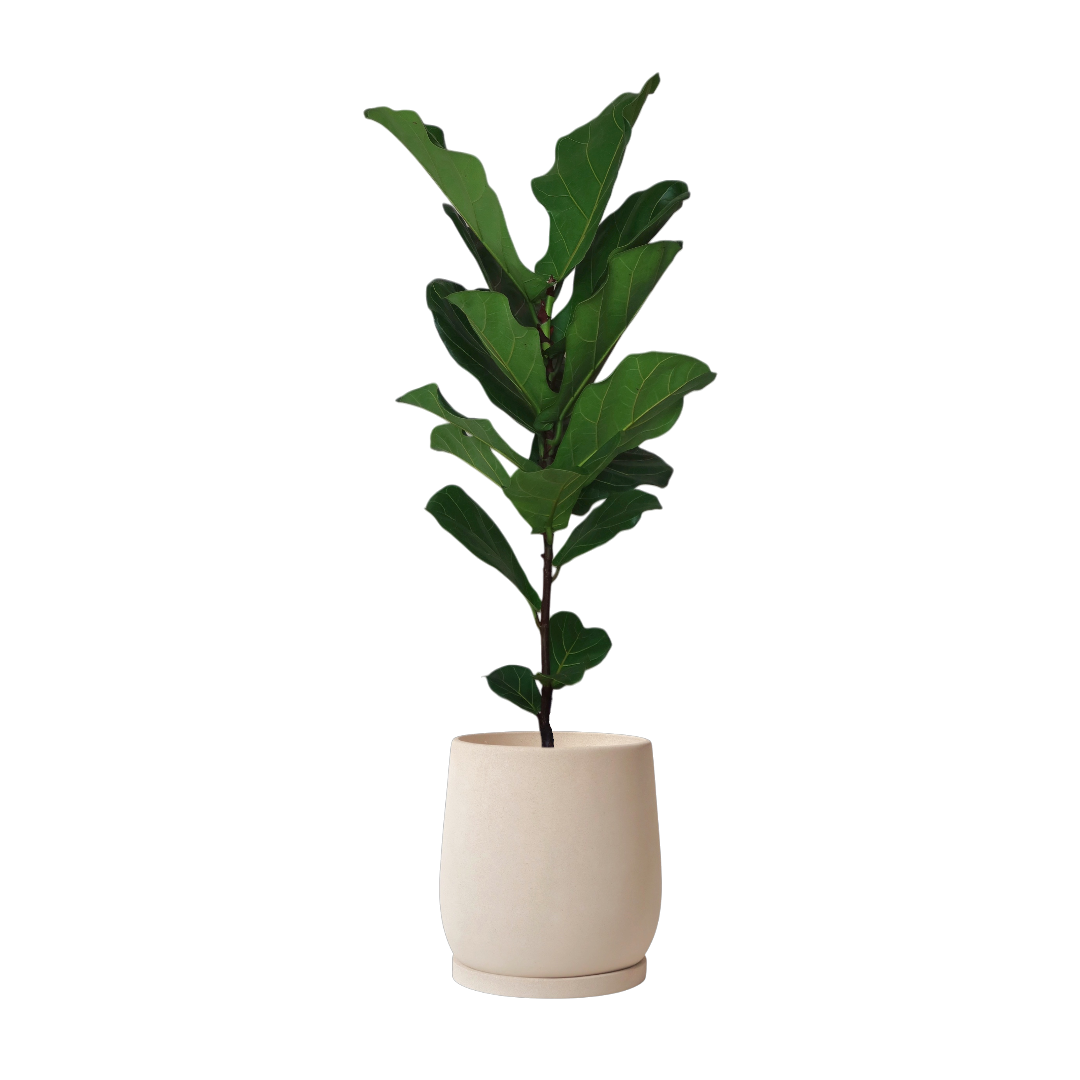 ENKEL Egg-Shaped Terrazzo Pot W28cm (Off-white)
