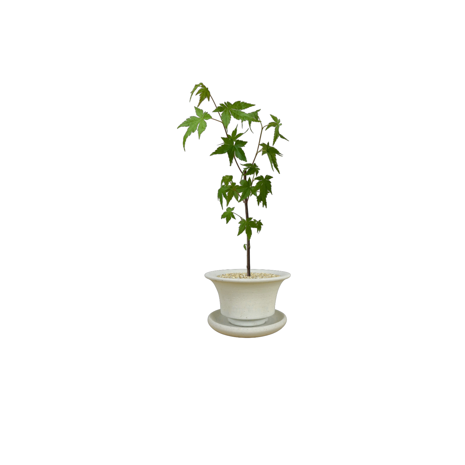 BRRUTO Curve Ceramic Pot