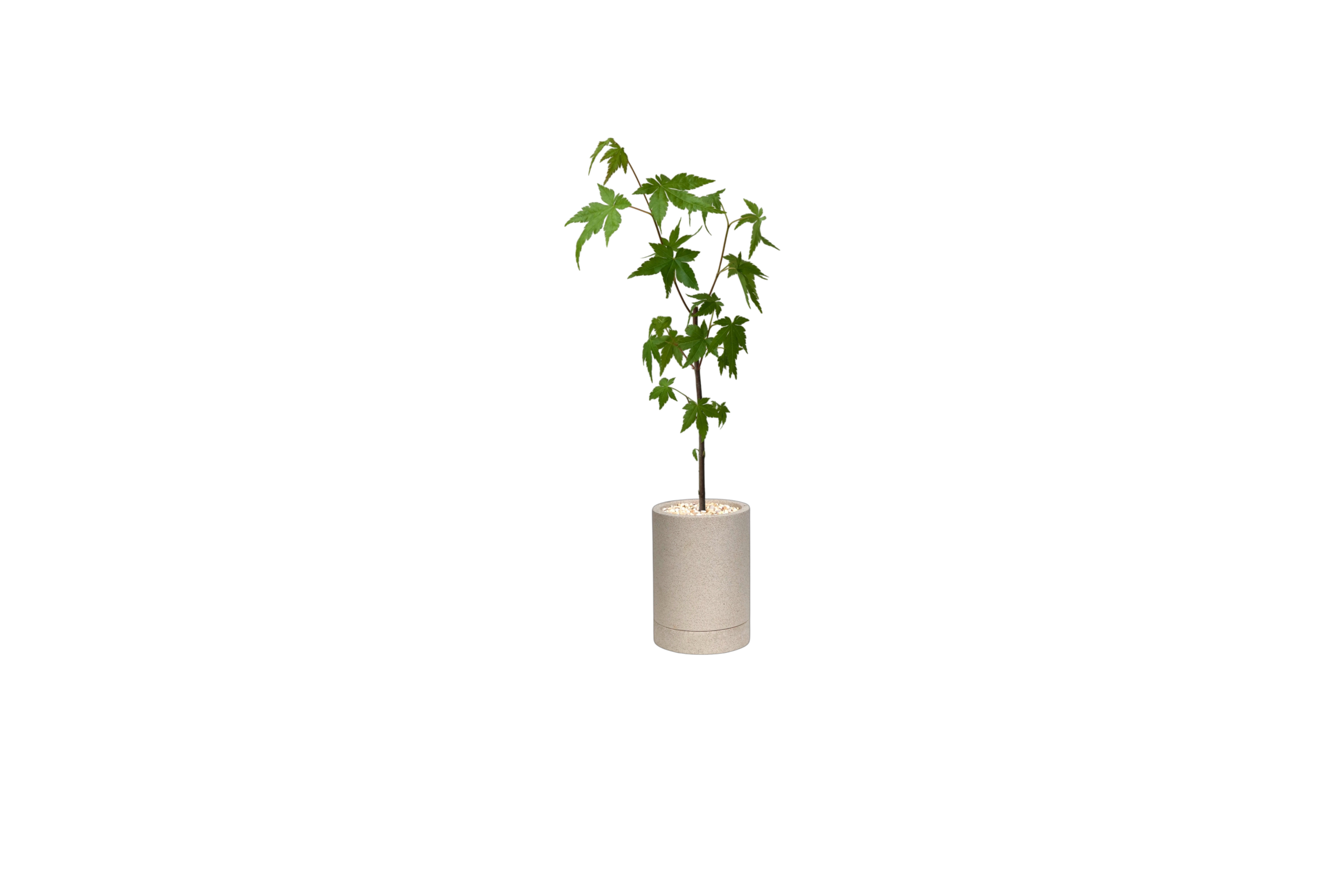 ENKEL Cylinder-Shaped Terrazzo Pot W8cm (Off-white)