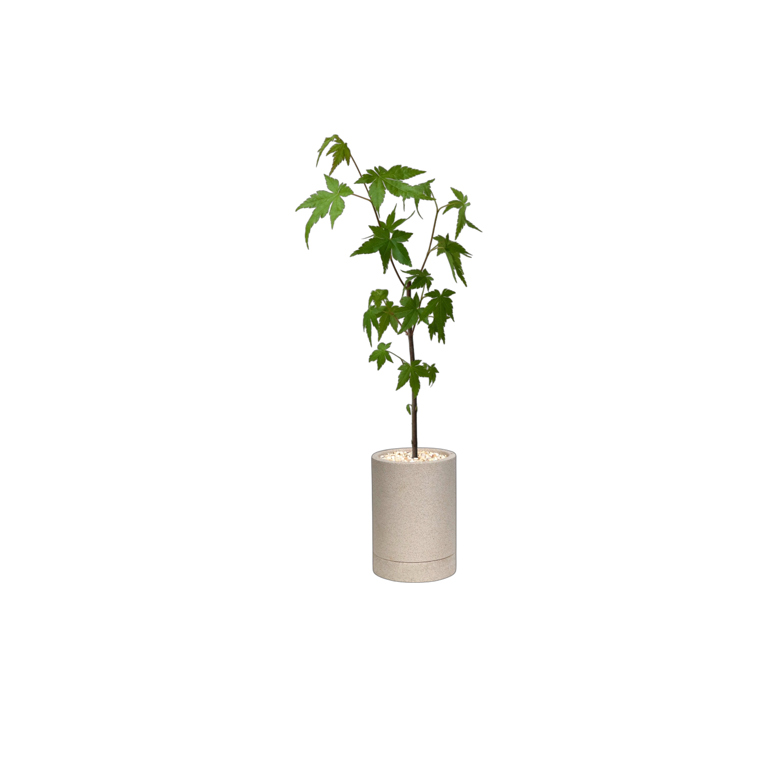 ENKEL Cylinder-Shaped Terrazzo Pot W8cm (Off-white)