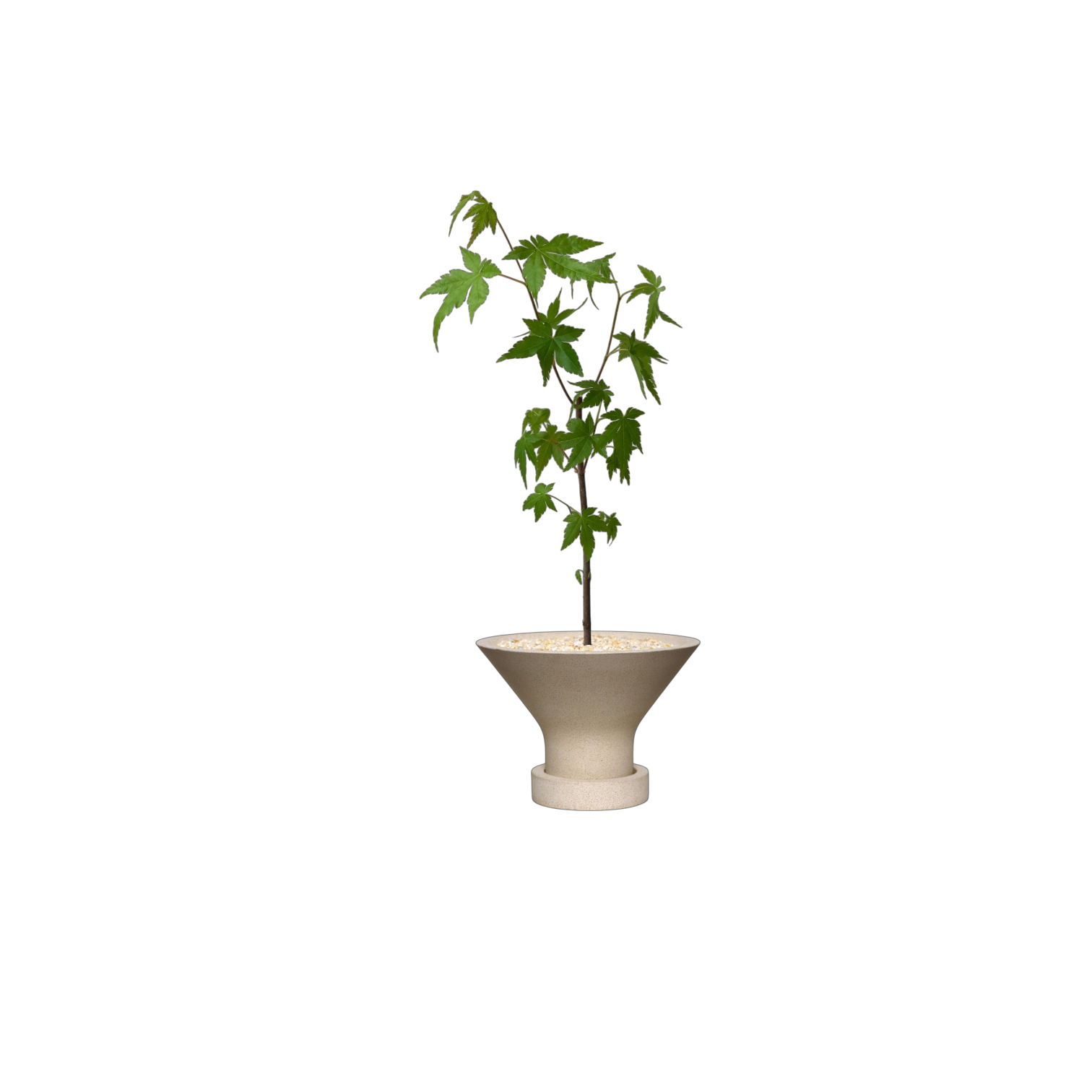 ENKEL Funnel-Shaped Terrazzo Pot with Flat Saucer