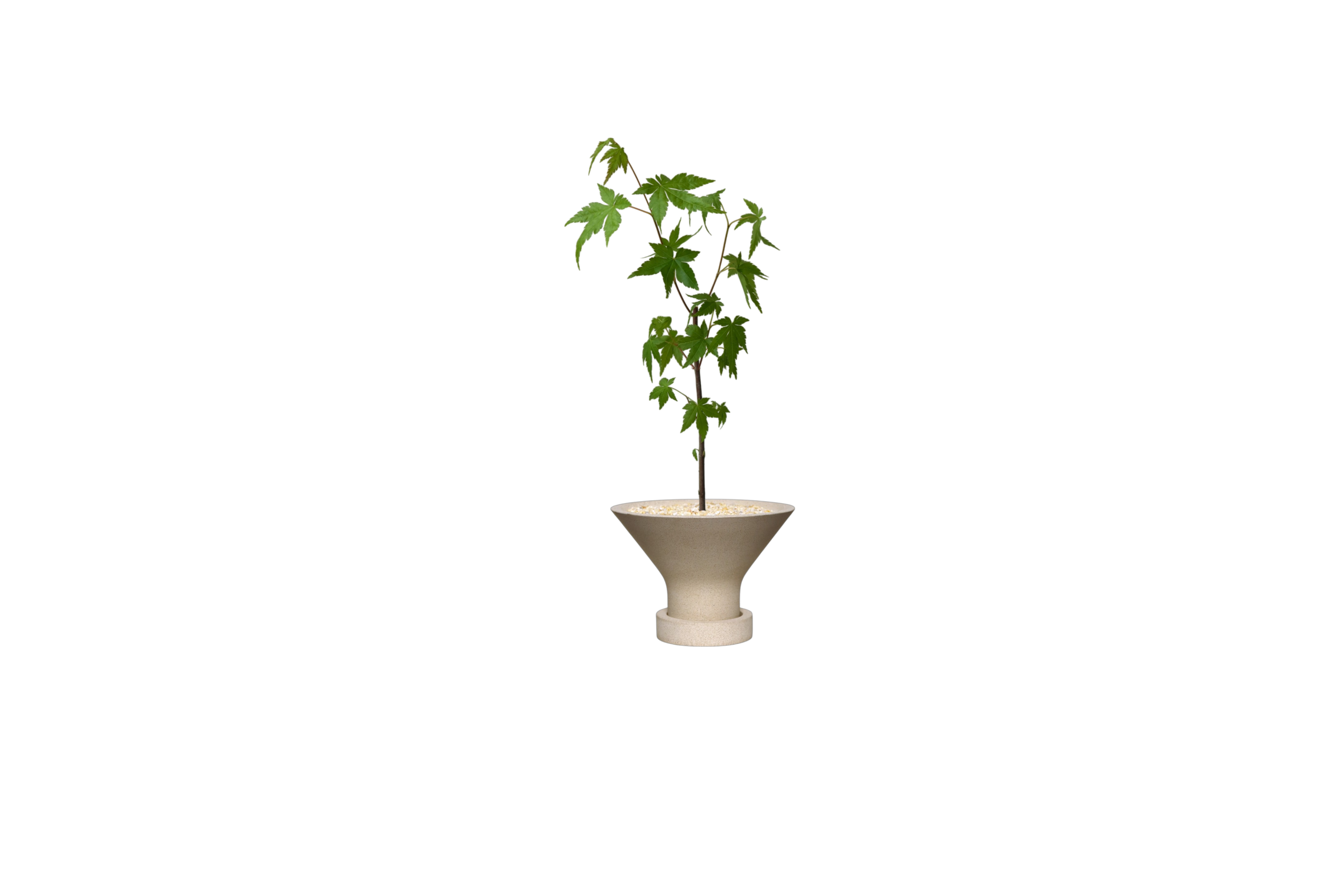 ENKEL Funnel-Shaped Terrazzo Pot with Flat Saucer W15.5cm (Off-white)