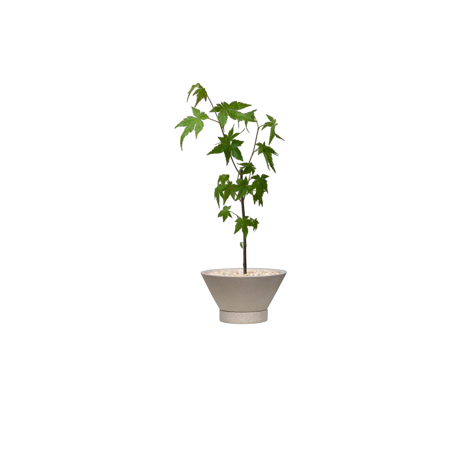 ENKEL V-Shaped Terrazzo Pot with Flat Saucer