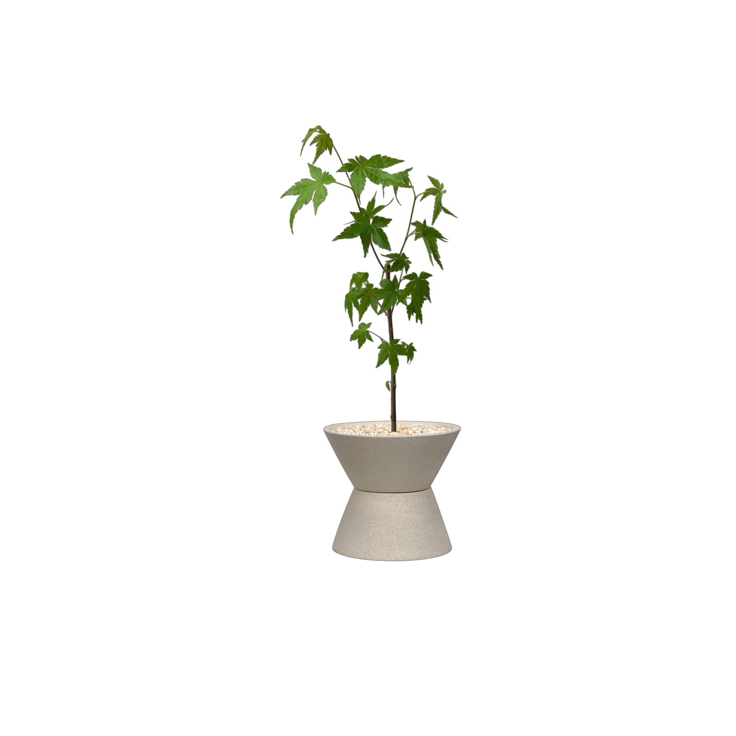 ENKEL V-Shaped Terrazzo Pot with Trapezium Saucer