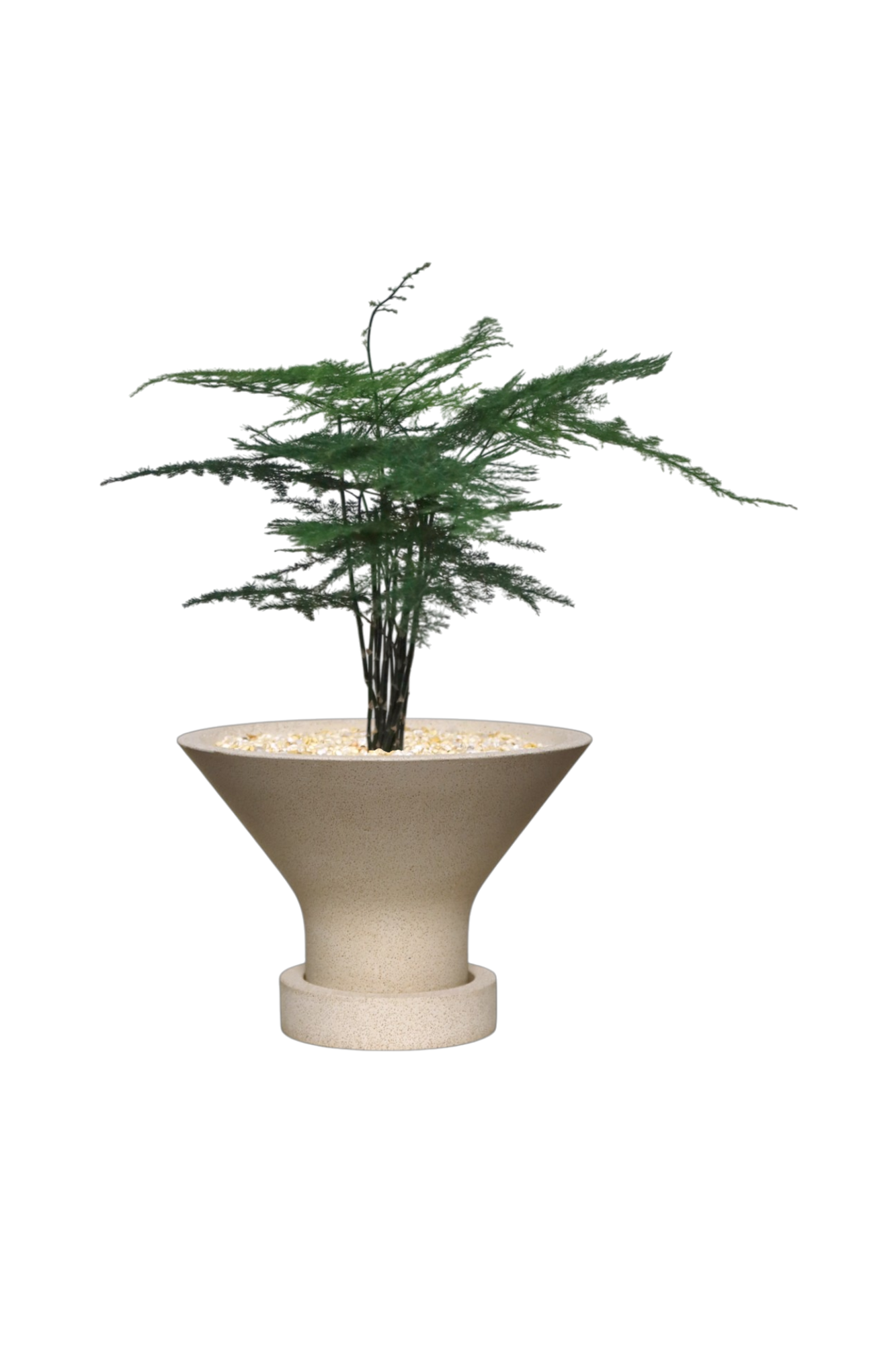 ENKEL Funnel-Shaped Terrazzo Pot with Flat Saucer