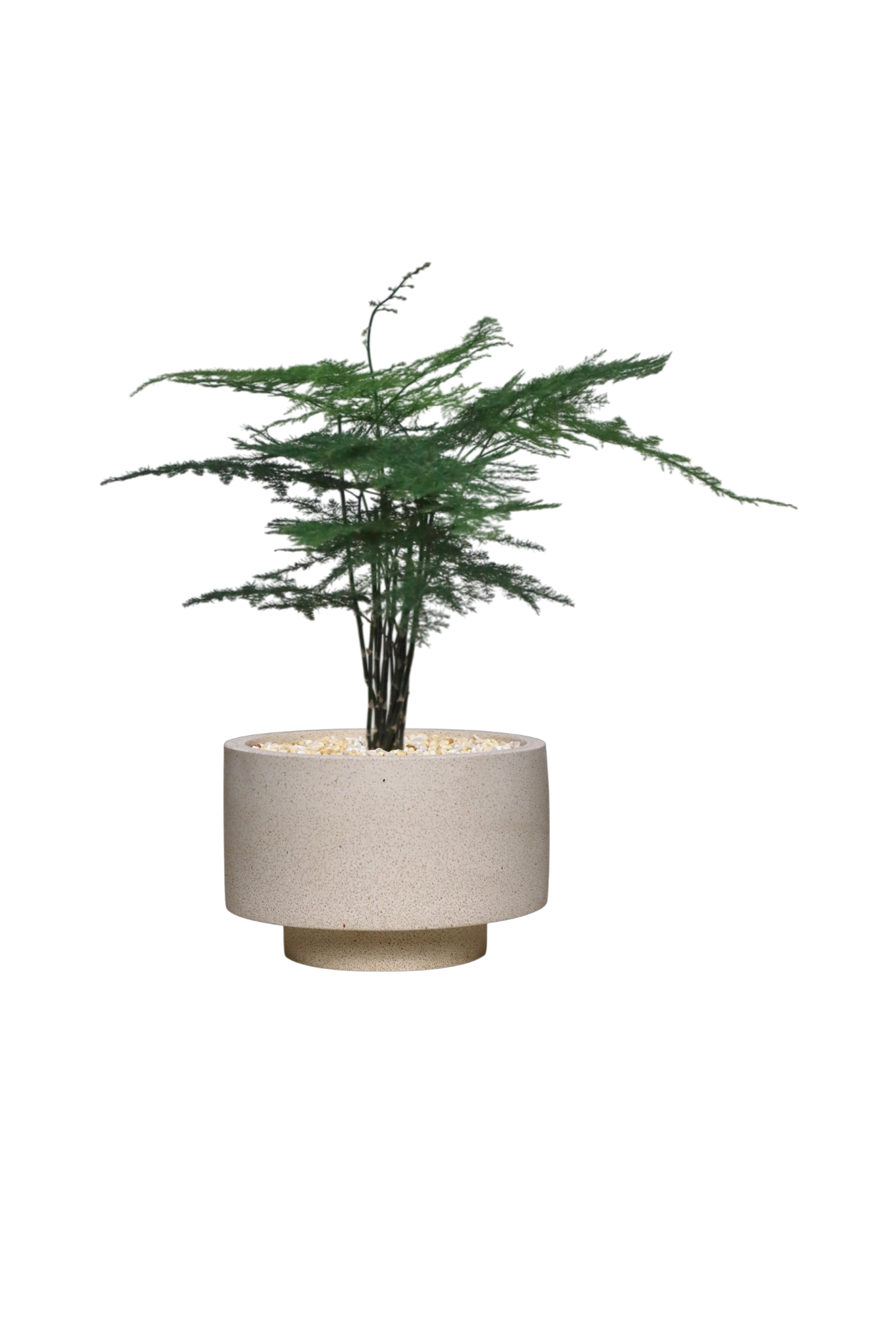 ENKEL Rectangular-Shaped Terrazzo Pot with Flat Saucer