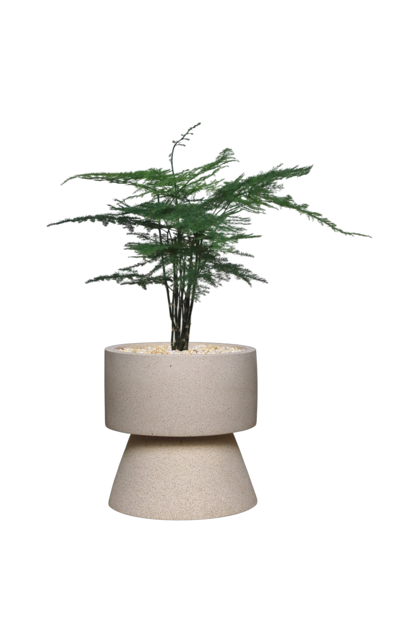 ENKEL Rectangular-Shaped Terrazzo Pot with Trapezium Saucer
