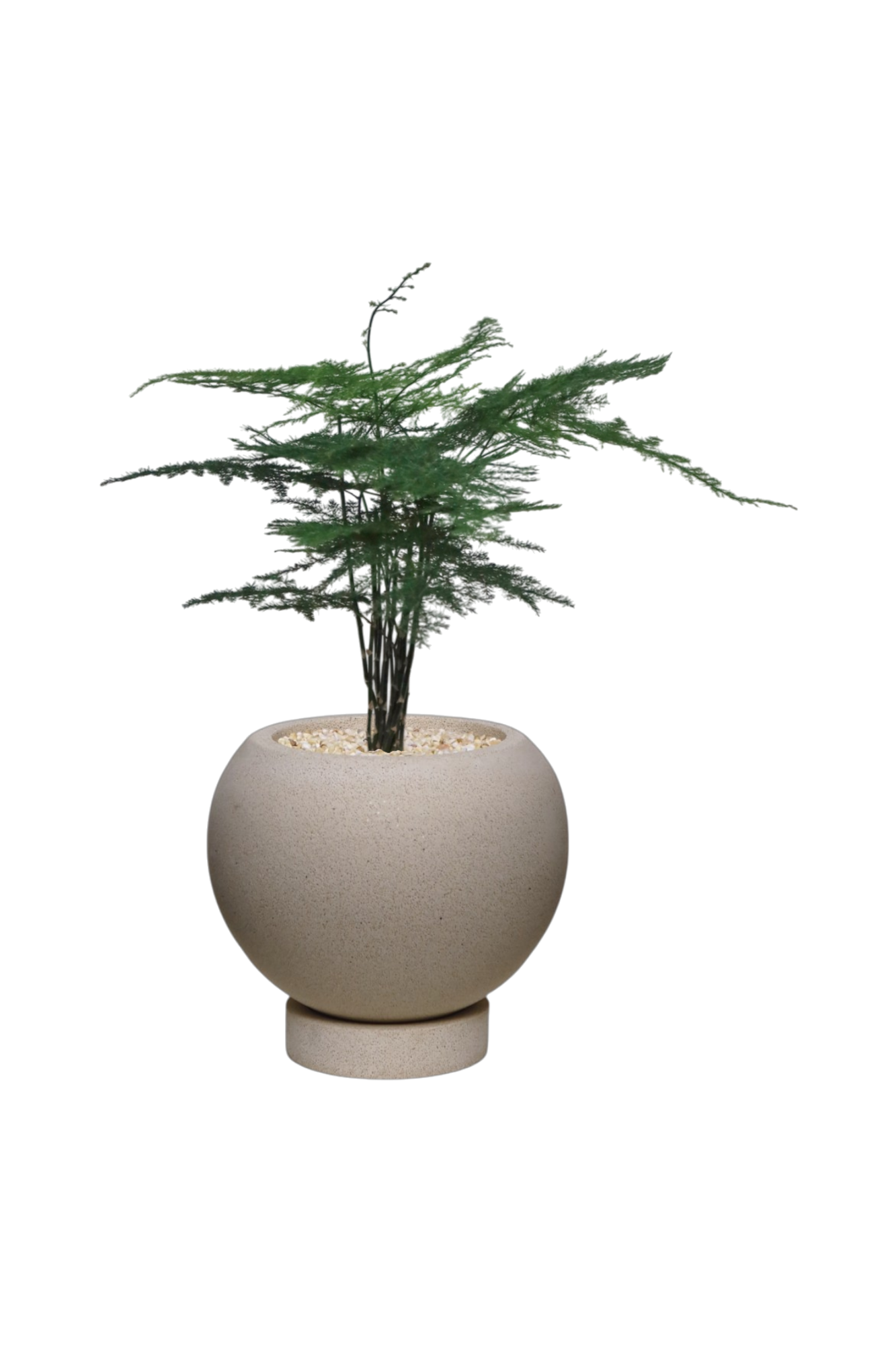 ENKEL Sphere-Shaped Terrazzo Pot with Flat Saucer