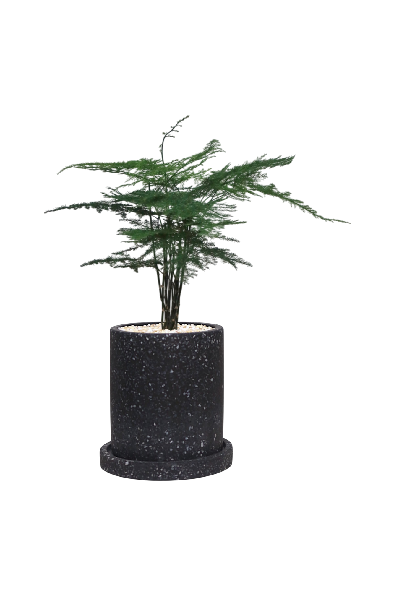 MOTT Terrazzo Pot  W10cm (Black)