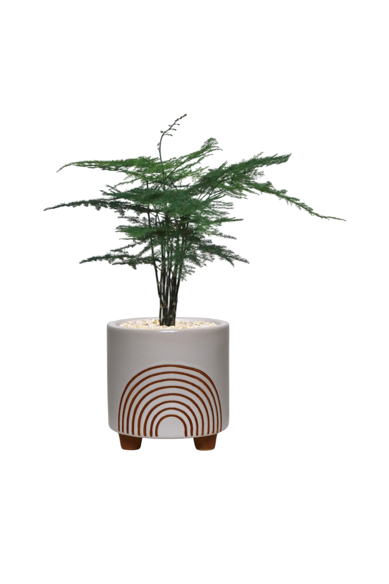 RAYON Ceramic Pot