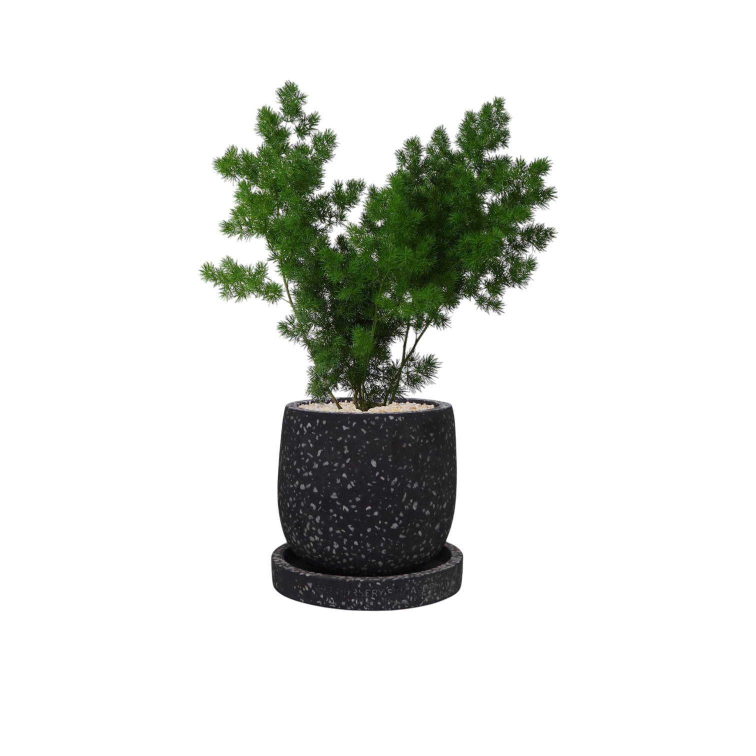 ENKEL Egg-Shaped Terrazzo Pot W14cm (Grey)
