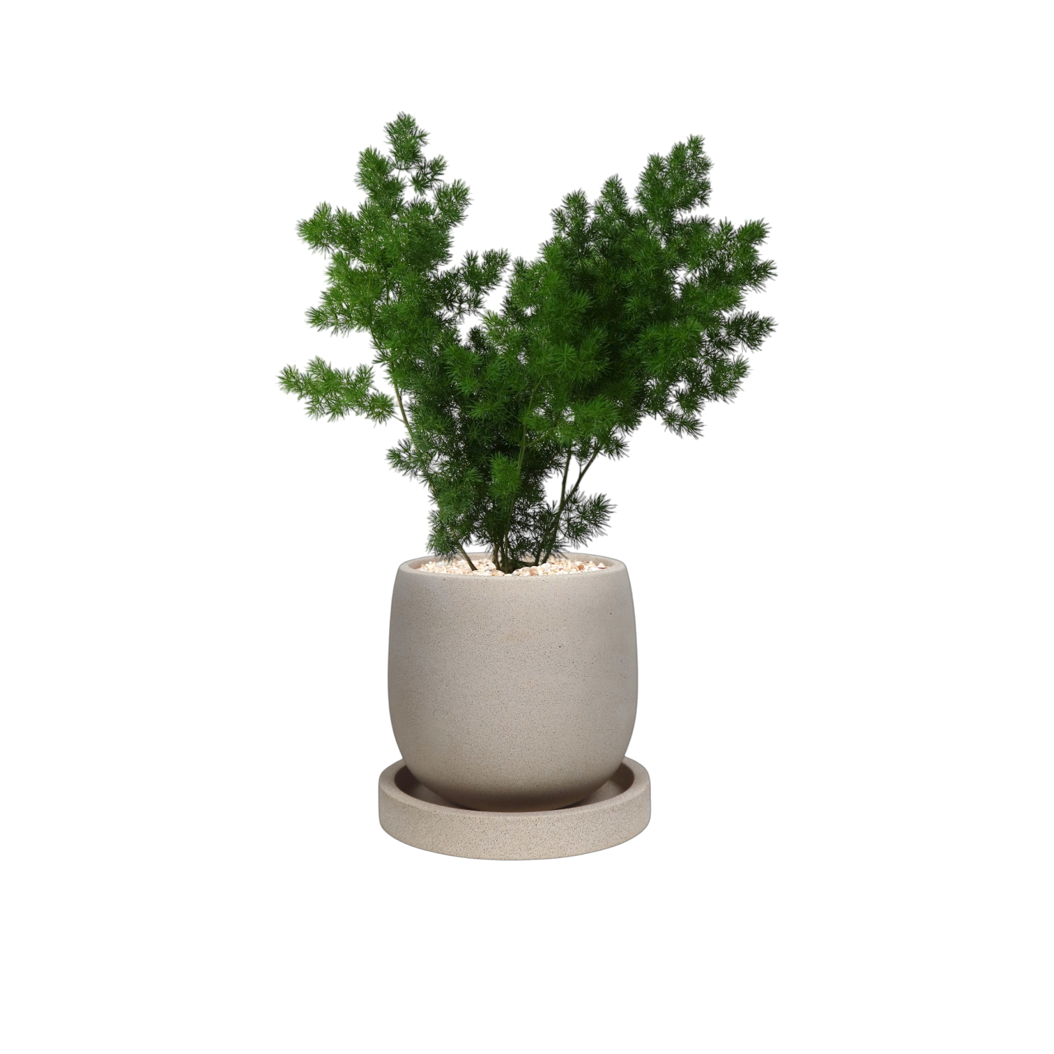 ENKEL Egg-Shaped Terrazzo Pot W14cm (Off-white)