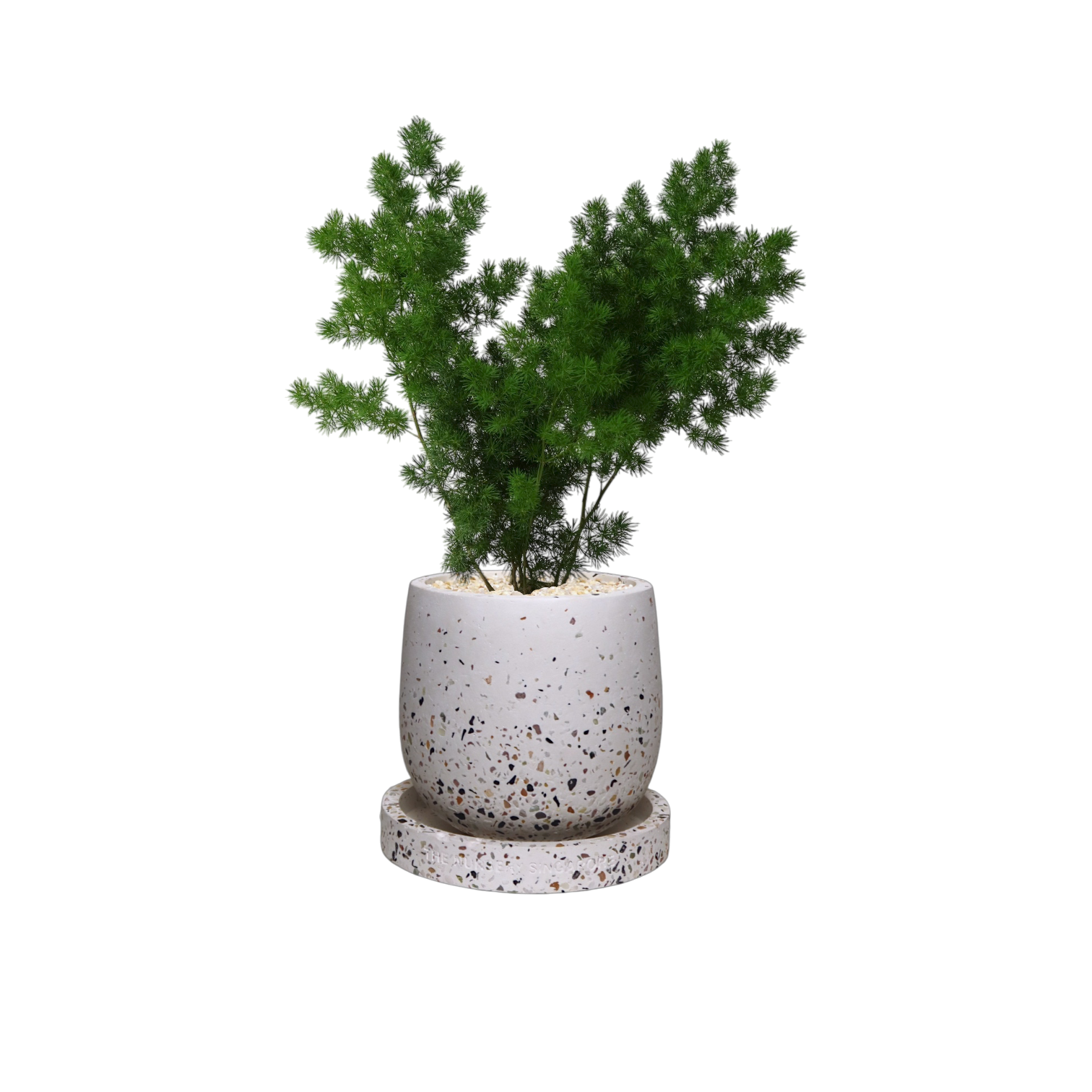 ENKEL Egg-Shaped Terrazzo Pot W14cm (White)