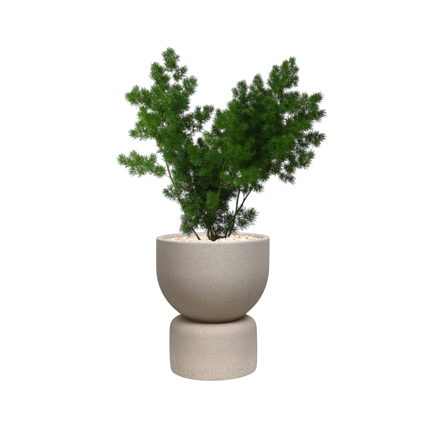 ENKEL Short U-Shaped Terrazzo Pot with Tall Saucer (Off-white)