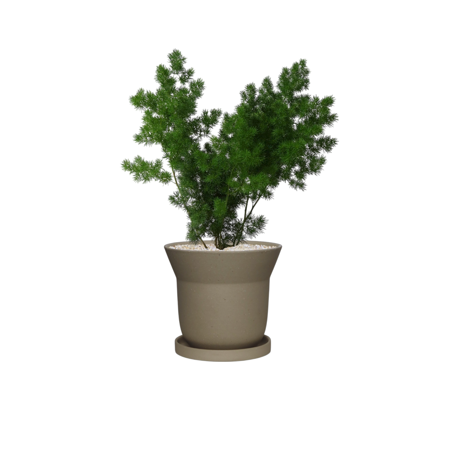 ZIMMU Bell-Shaped Ceramic Pot