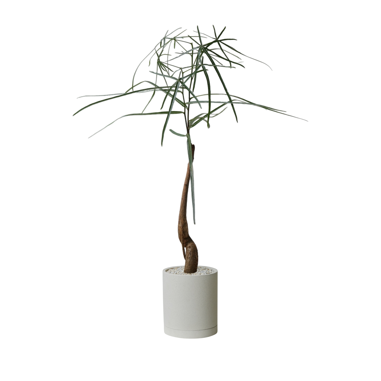 ENKEL Cylinder-Shaped Terrazzo Pot W12cm (Off-white)