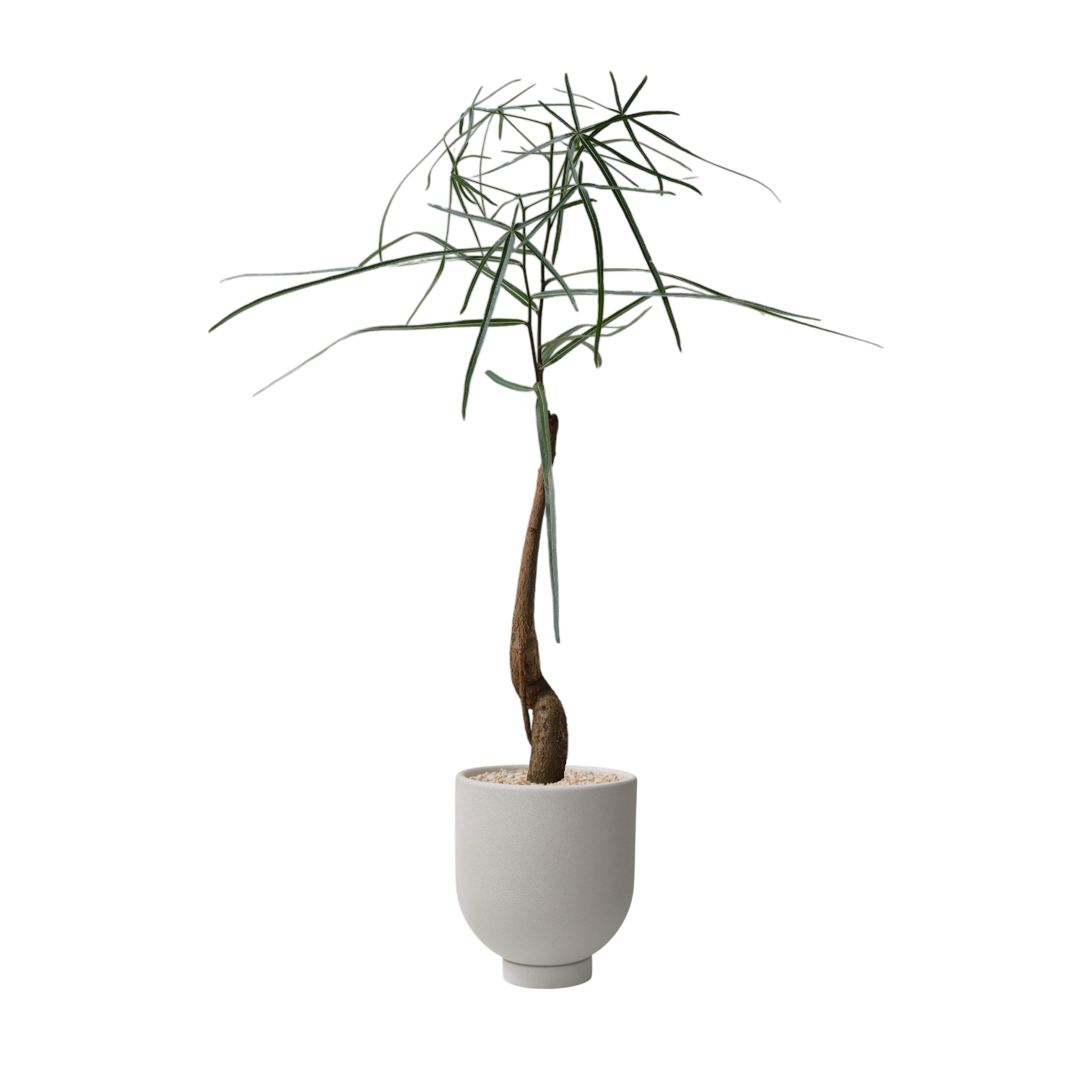 ENKEL Tall U-Shaped Terrazzo Pot with Short Saucer (Off-white)