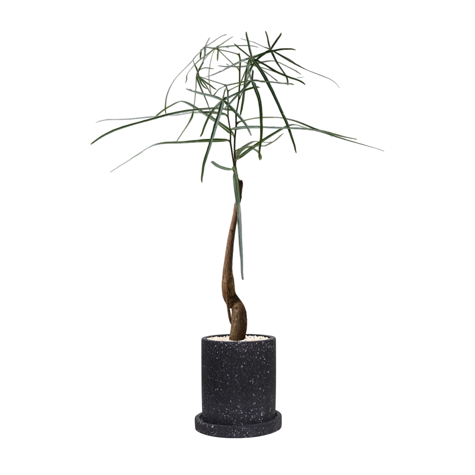 MOTT Terrazzo Pot  W15cm (Black)