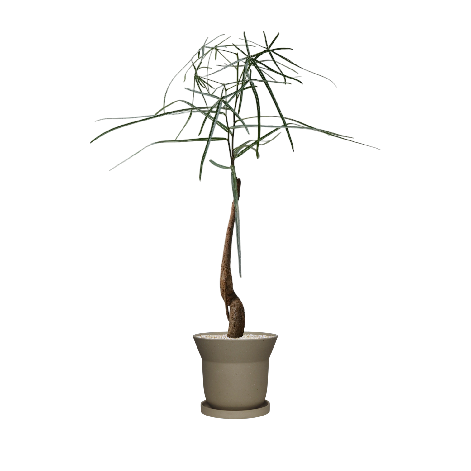 ZIMMU Bell-Shaped Ceramic Pot