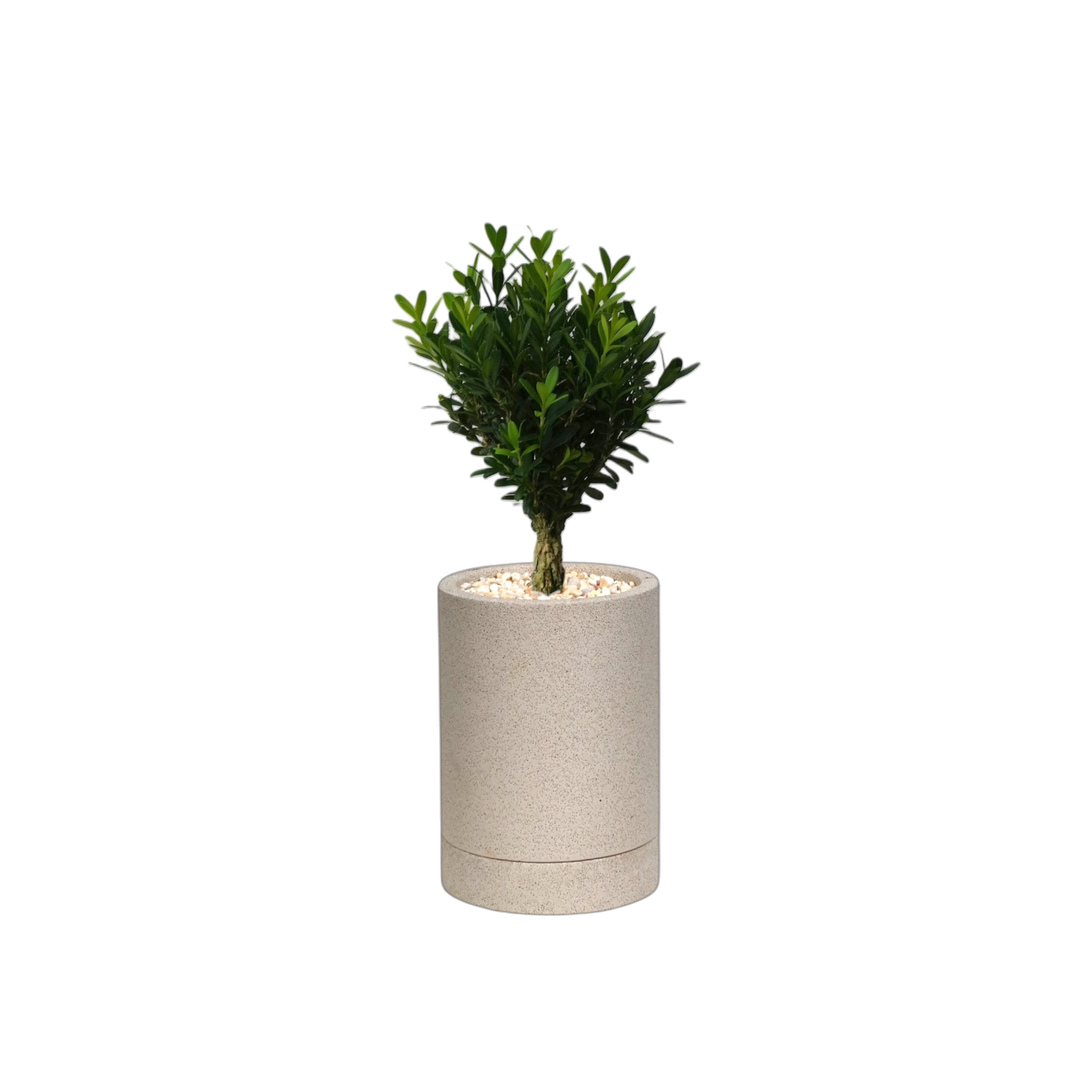 ENKEL Cylinder-Shaped Terrazzo Pot W8cm (Off-white)