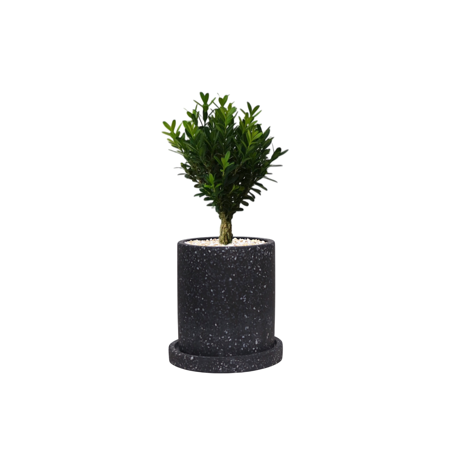 MOTT Terrazzo Pot  W10cm (Black)