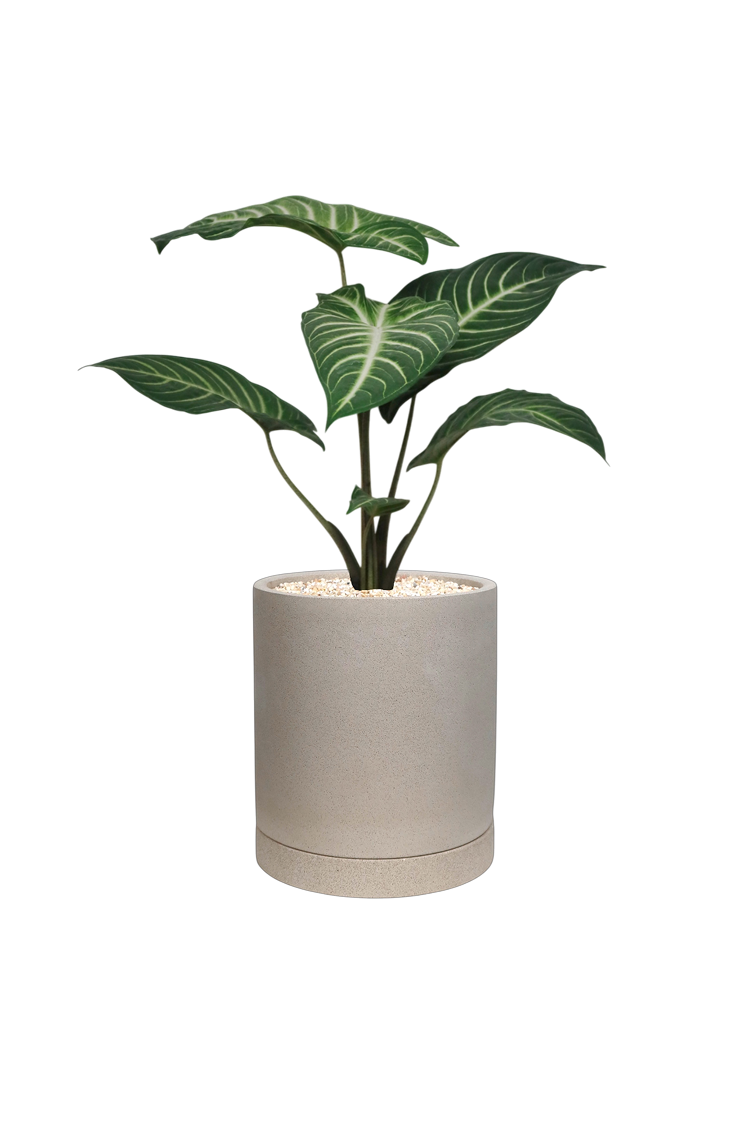 ENKEL Cylinder-Shaped Terrazzo Pot W16cm (Off-white)
