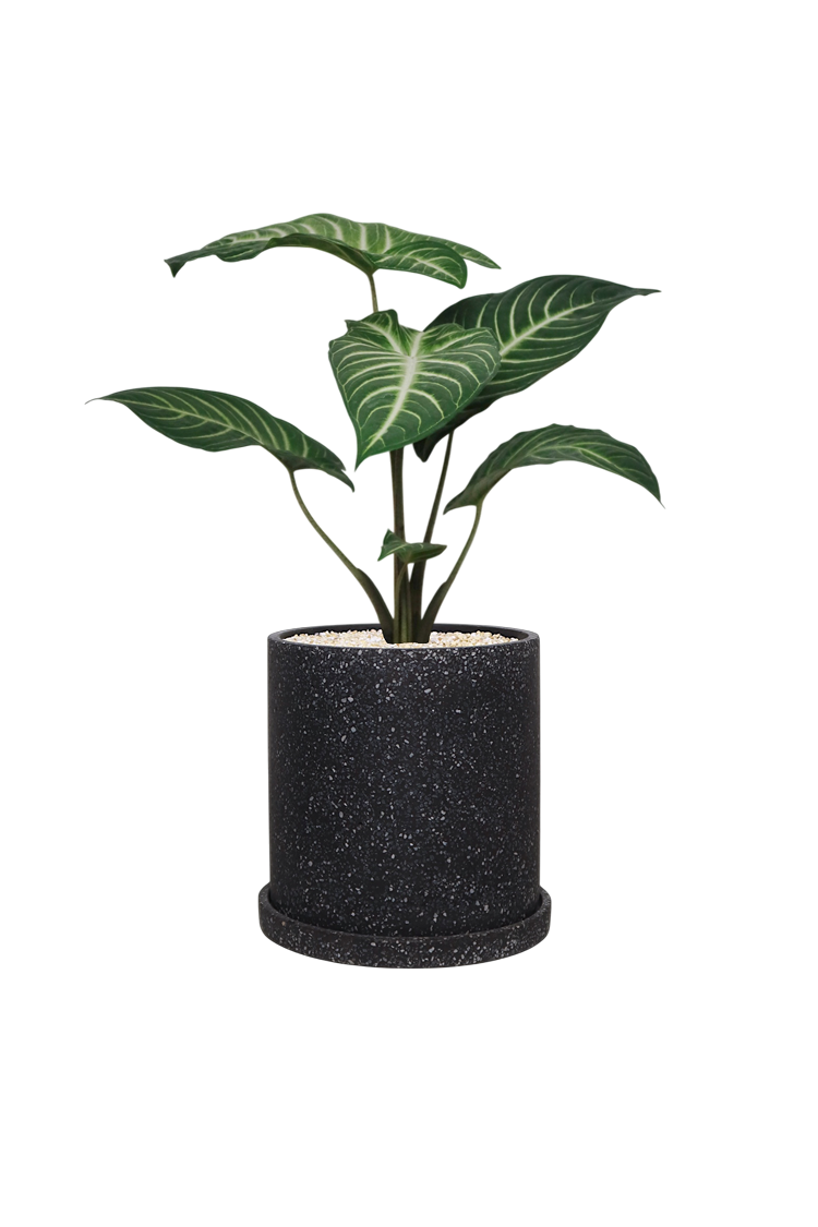 MOTT Terrazzo Pot  W17cm (Black)