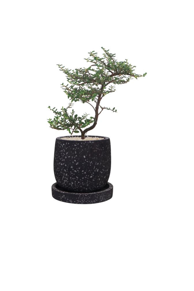 ENKEL Egg-Shaped Terrazzo Pot W14cm (Grey)