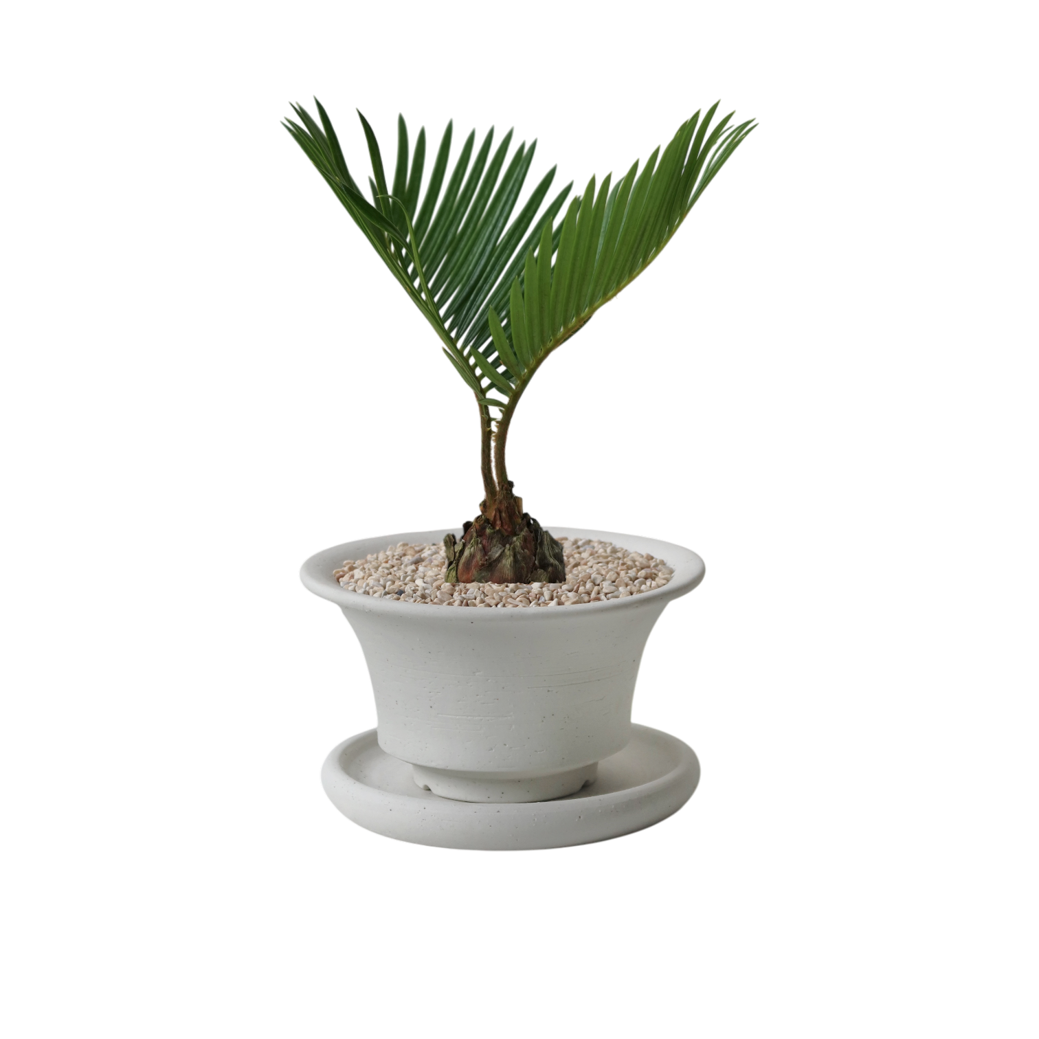 BRRUTO Curve Ceramic Pot