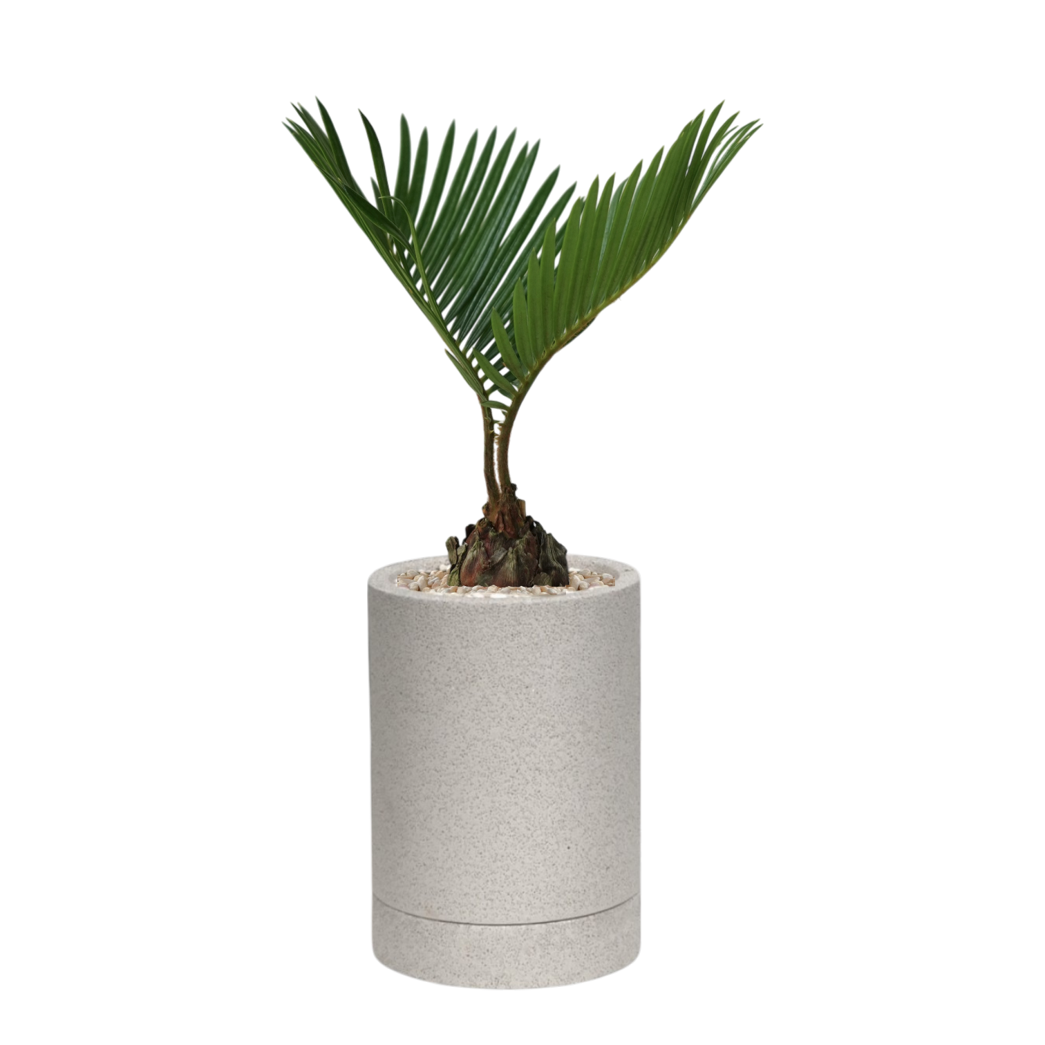 ENKEL Cylinder-Shaped Terrazzo Pot W8cm