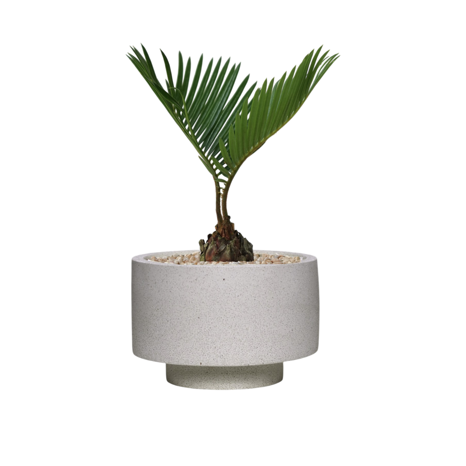ENKEL Rectangular-Shaped Terrazzo Pot with Flat Saucer