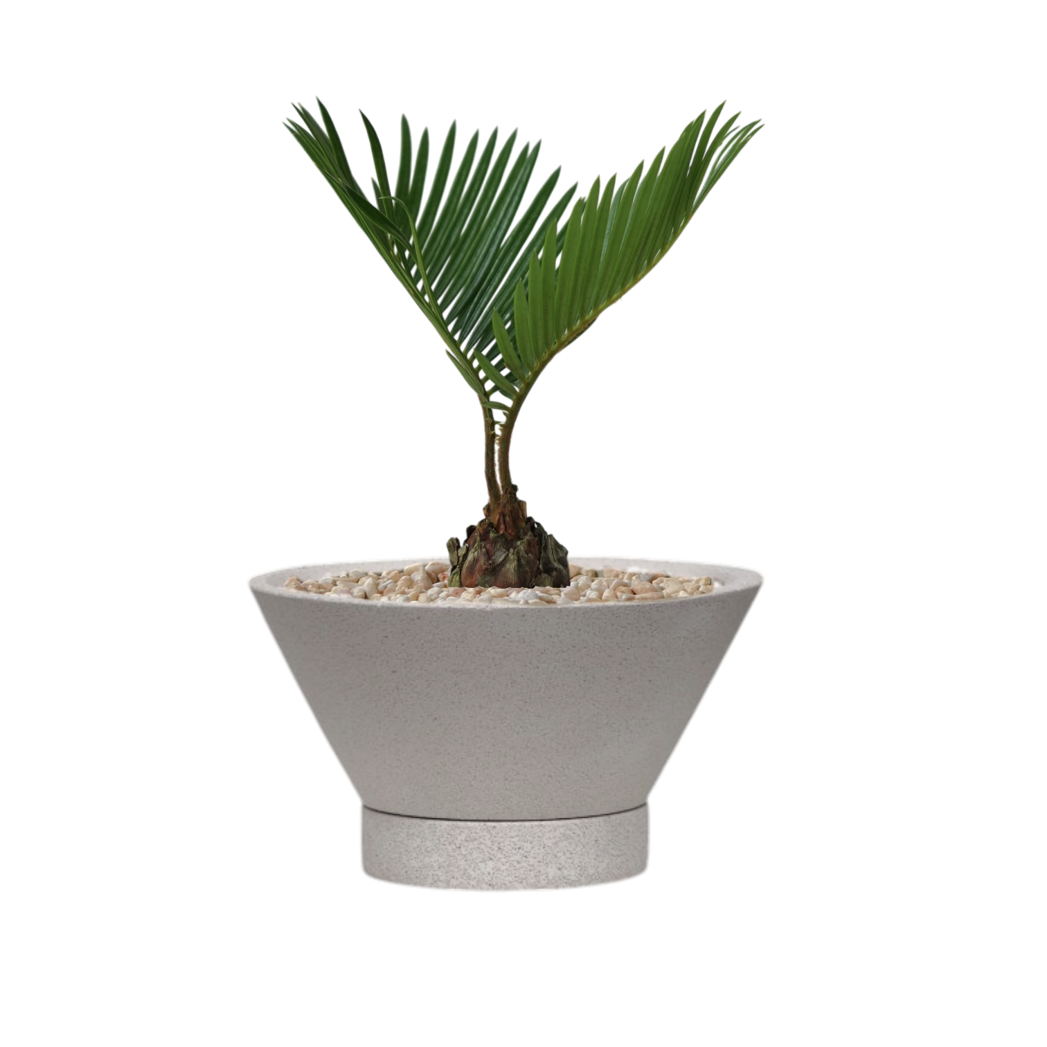 ENKEL V-Shaped Terrazzo Pot with Flat Saucer