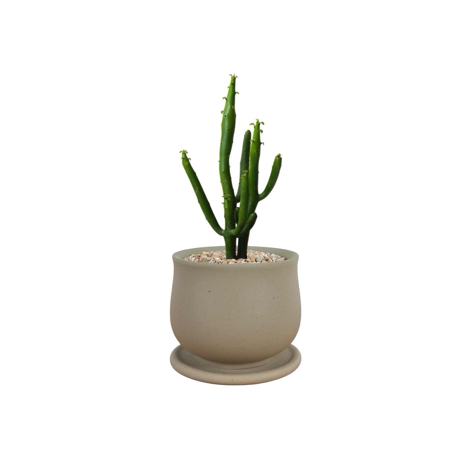 ASKEL Teacup-shaped Ceramic Pot