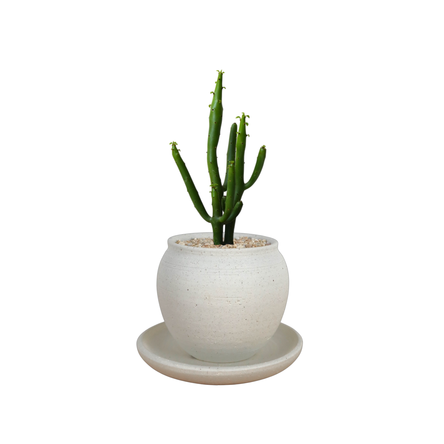 BRRUTO Jar Ceramic Pot