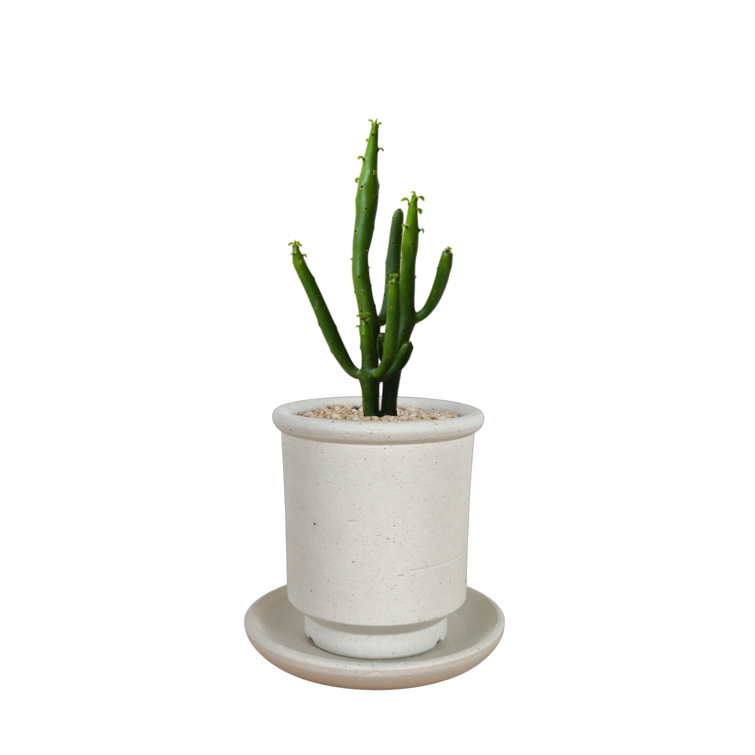 BRRUTO Tall Ceramic Pot