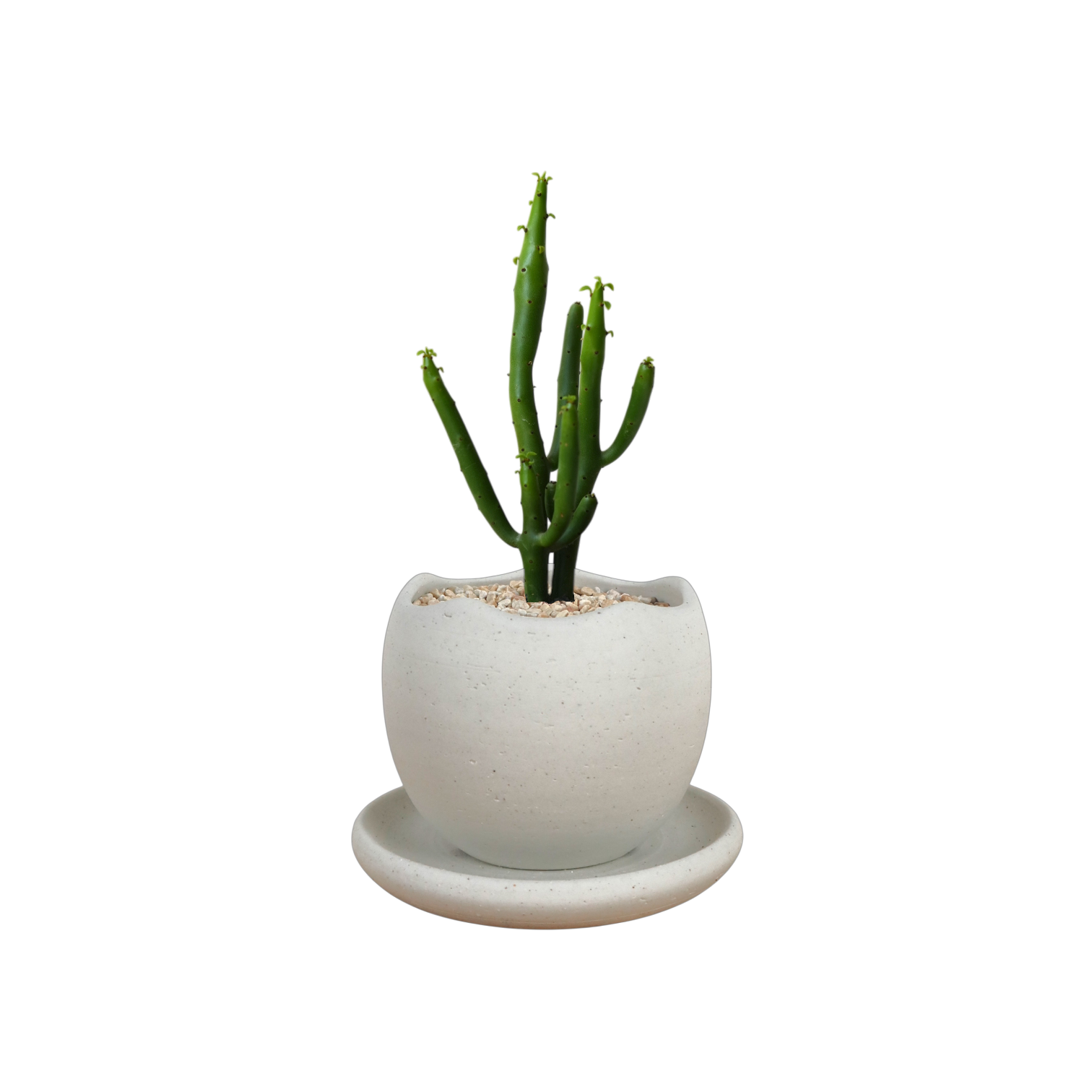 BRRUTO Wave Ceramic Pot