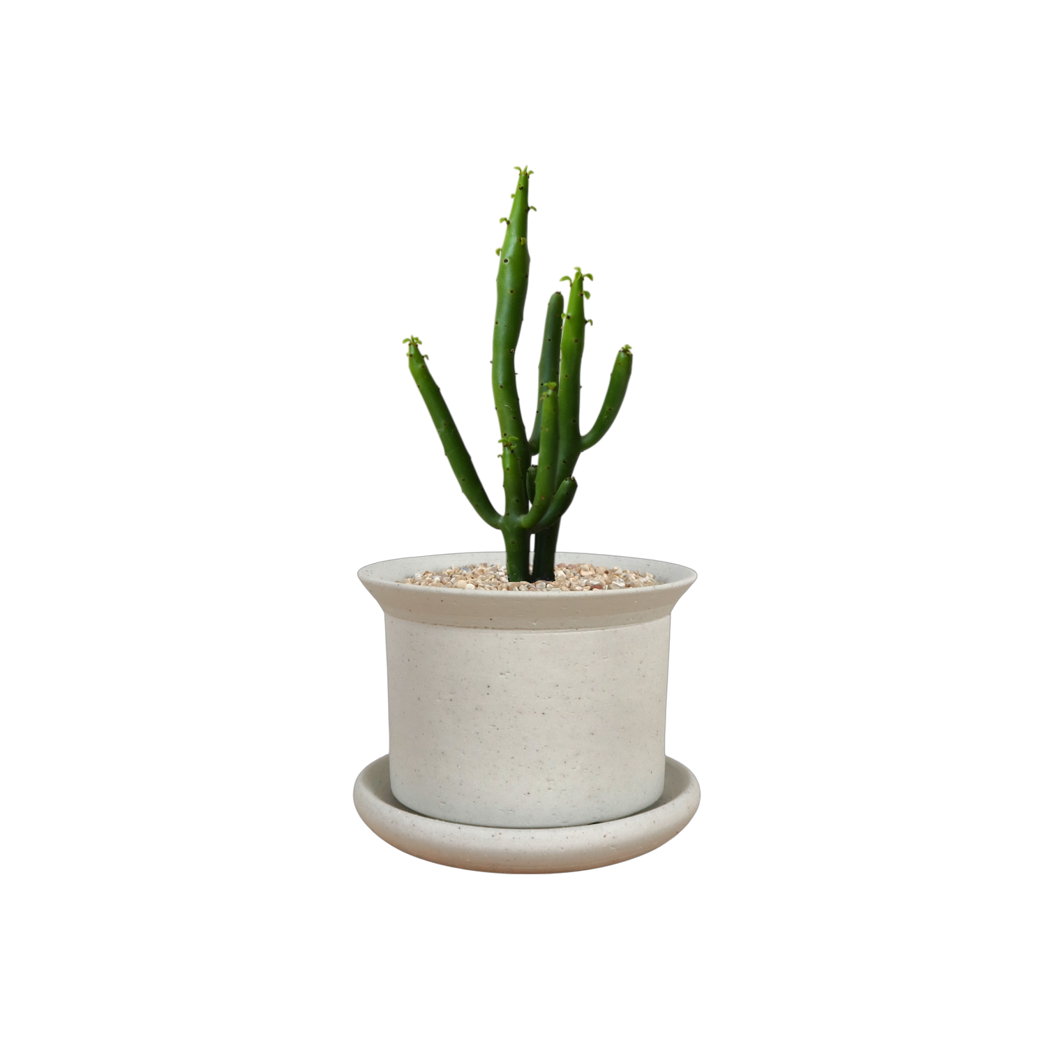 BRRUTO Y Ceramic Pot