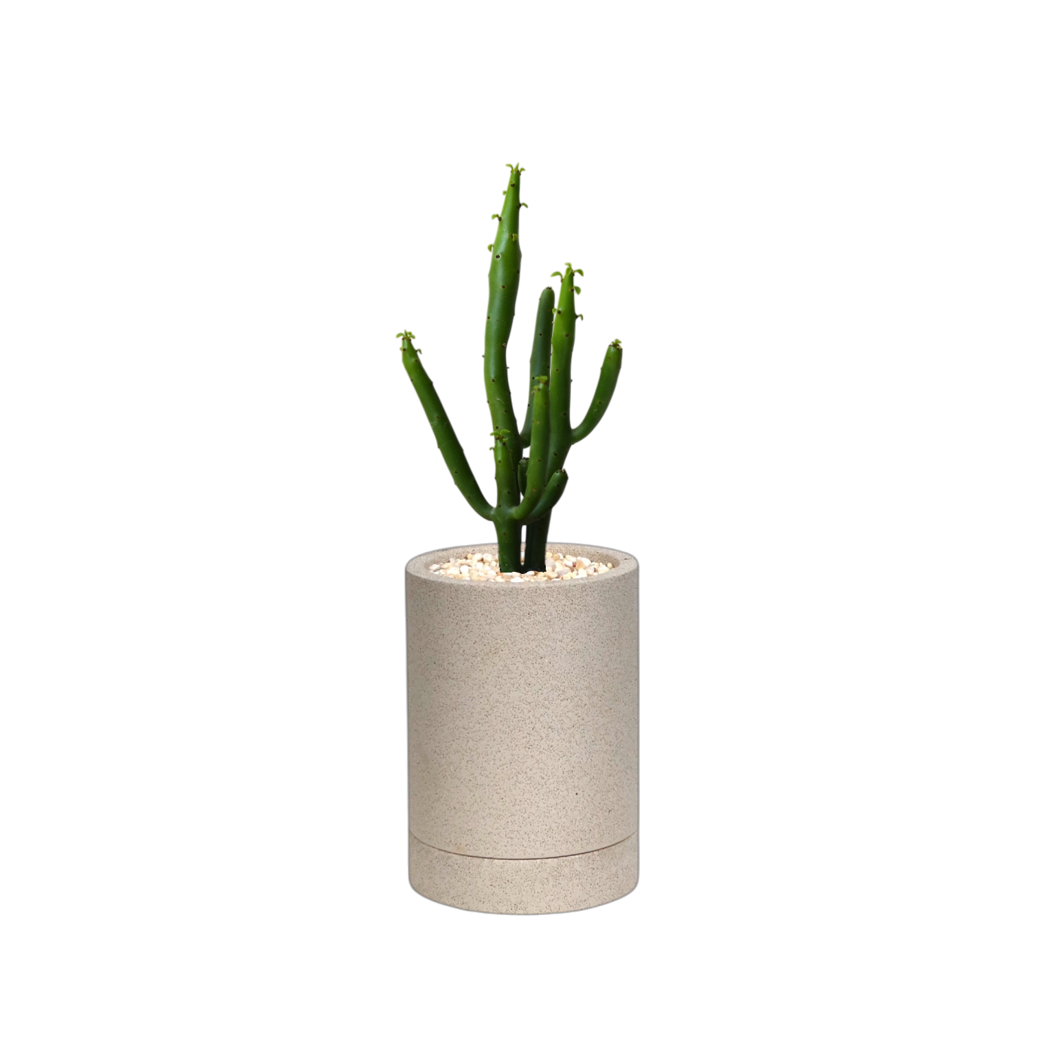ENKEL Cylinder-Shaped Terrazzo Pot W8cm (Off-white)