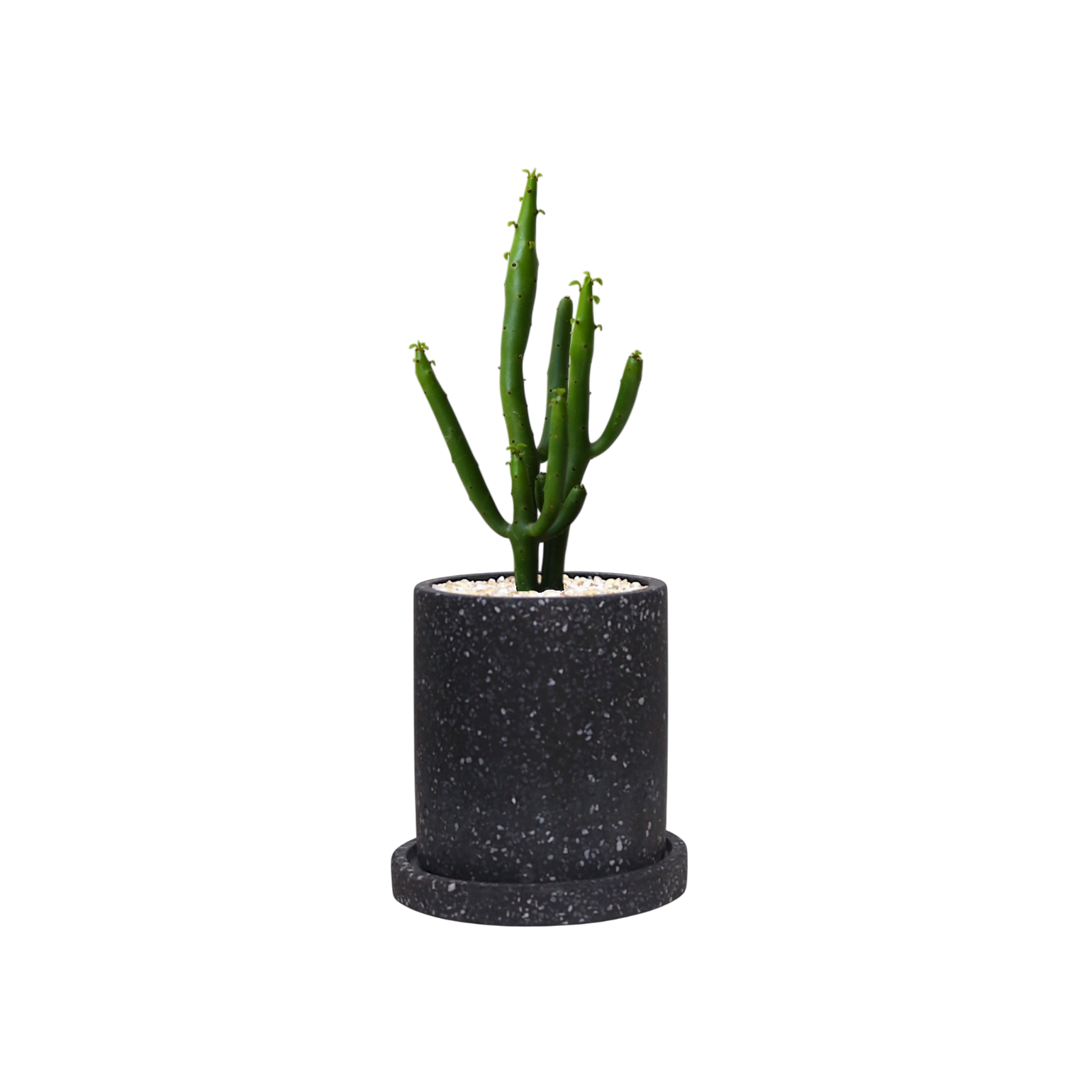 MOTT Terrazzo Pot  W10cm (Black)