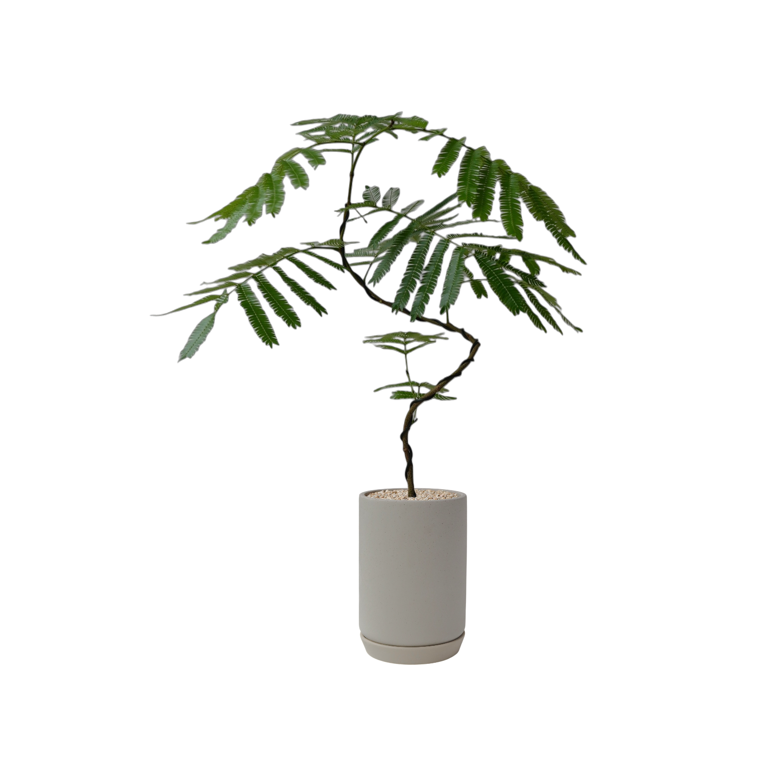 ASKEL Tall Cylinder-Shaped Ceramic Pot W13cm