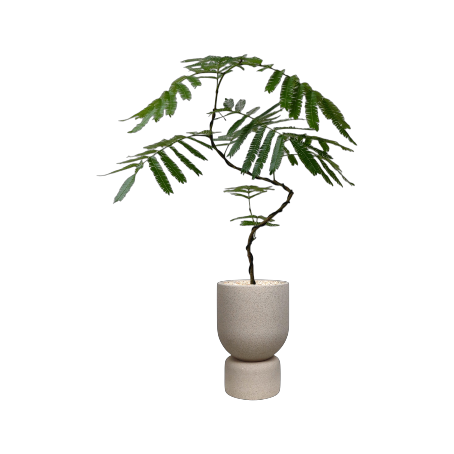 ENKEL Tall U-Shaped Terrazzo Pot (Off-white)
