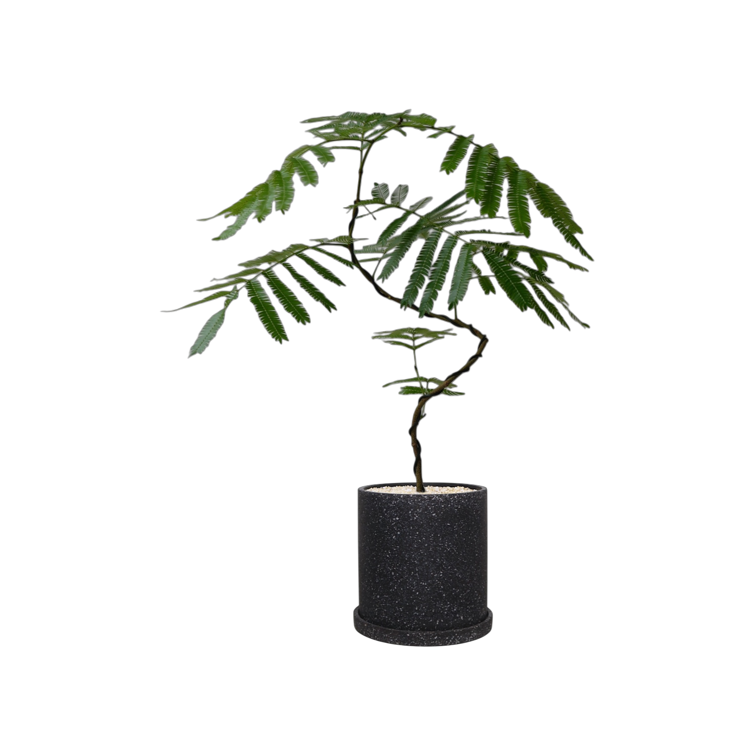 MOTT Terrazzo Pot  W17cm (Black)