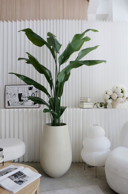 Faux Strelitzia Reginae 'Birds of Paradise' H1.8m