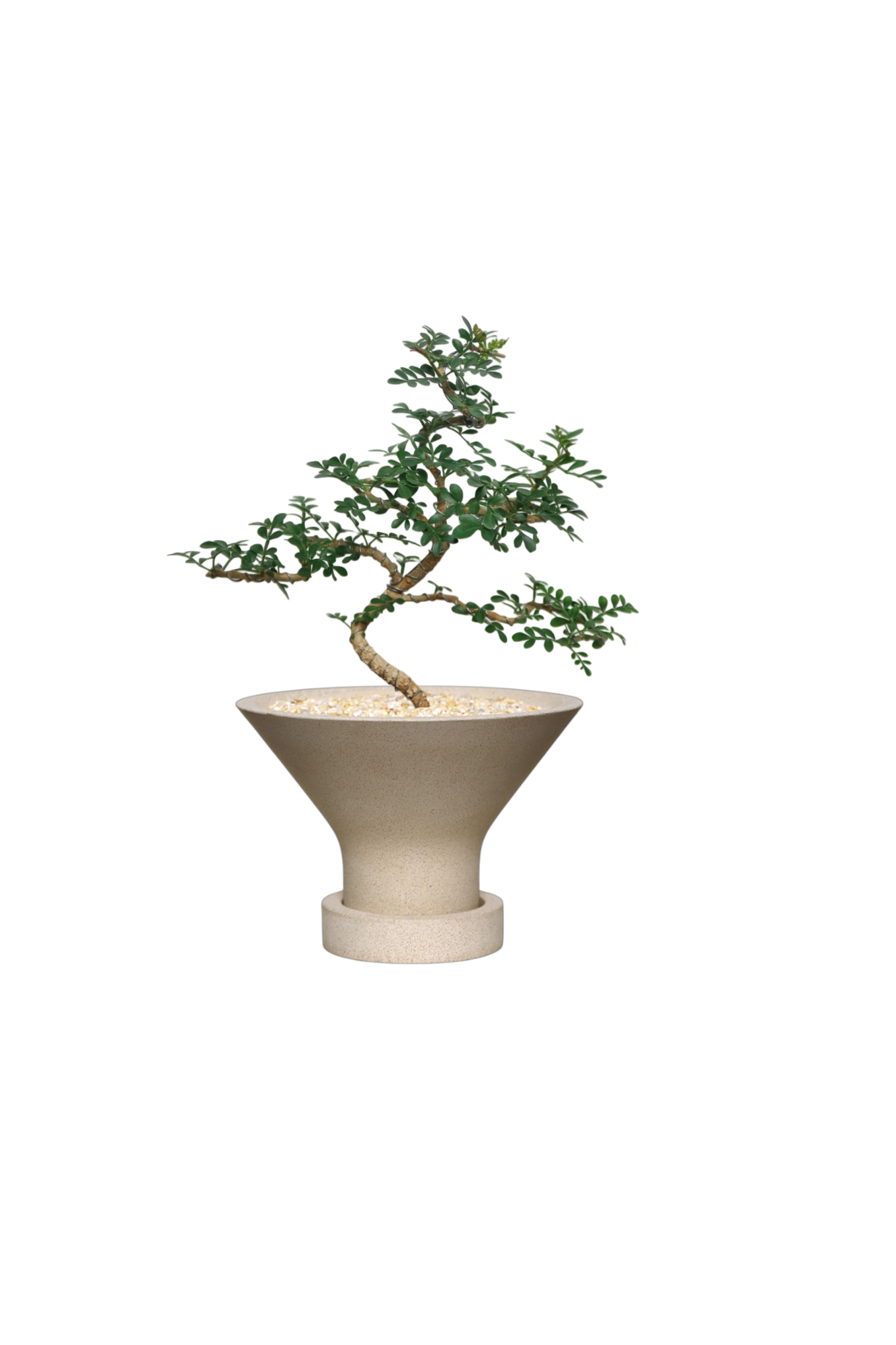 ENKEL Funnel-Shaped Terrazzo Pot with Flat Saucer