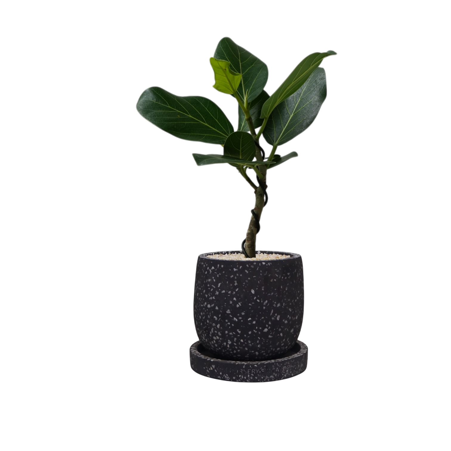 ENKEL Egg-Shaped Terrazzo Pot W14cm (Grey)
