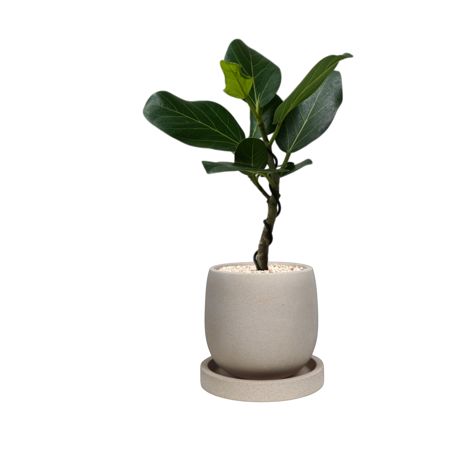 ENKEL Egg-Shaped Terrazzo Pot W14cm (Off-white)