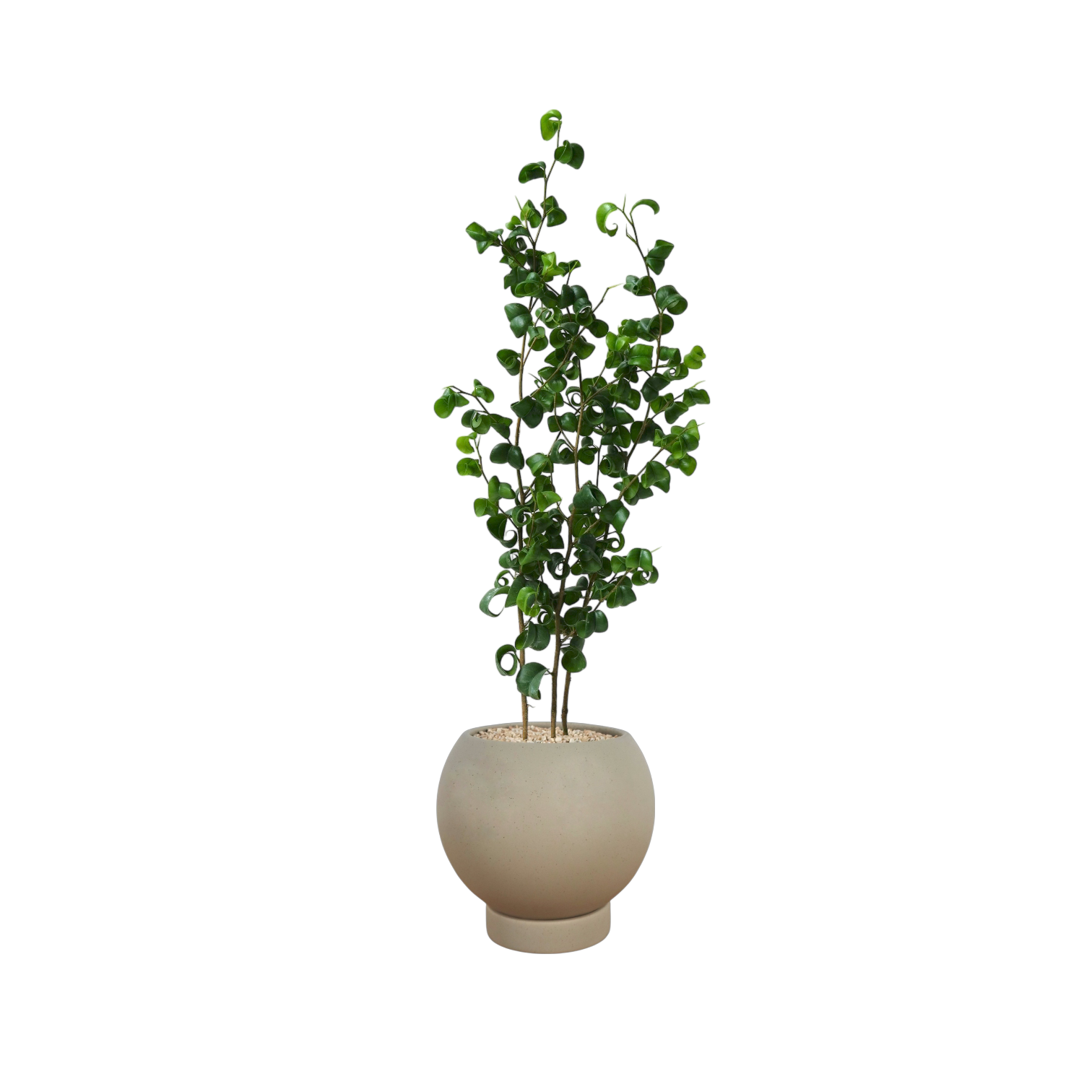 ASKEL Sphere-shaped Ceramic Pot