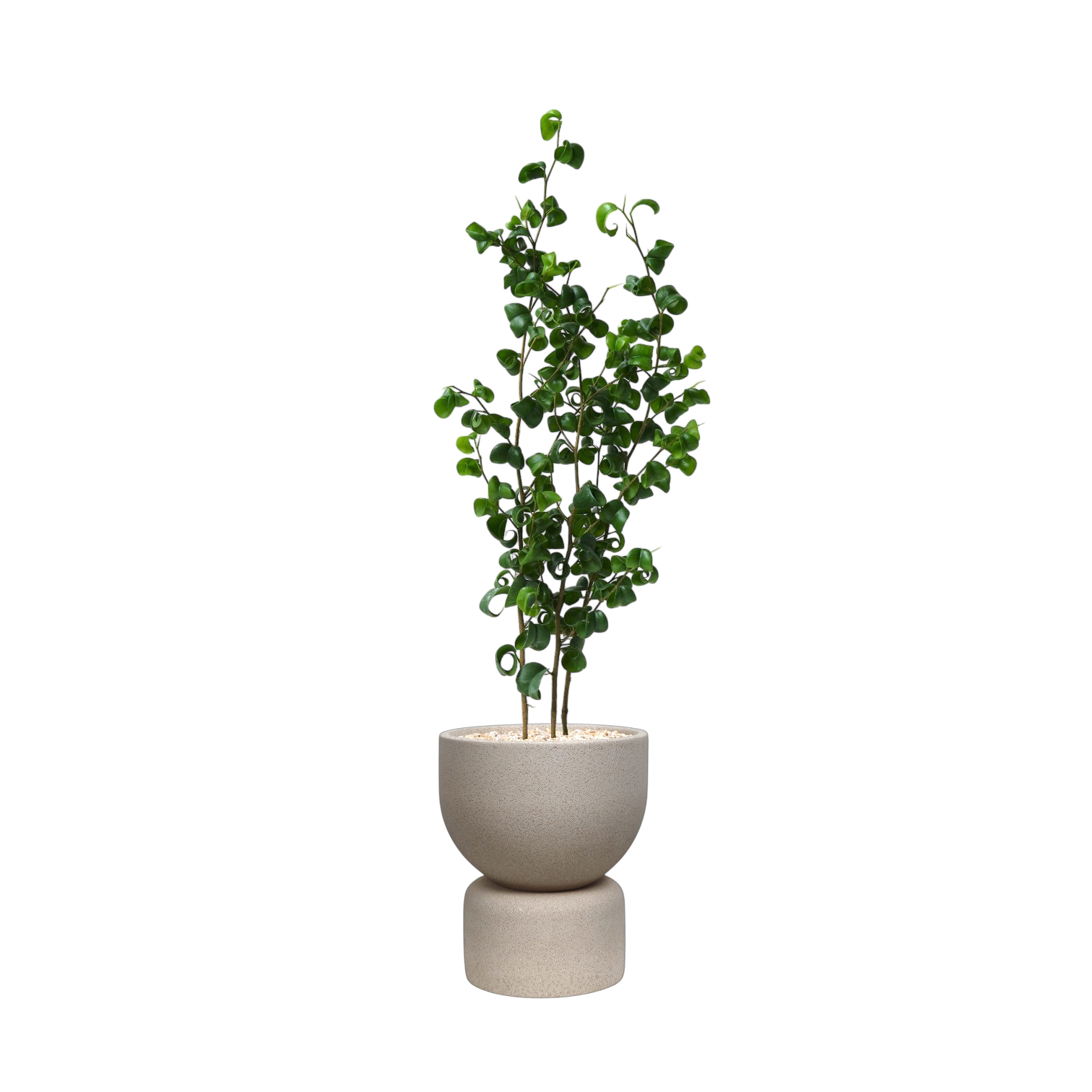 ENKEL Short U-Shaped Terrazzo Pot with Tall Saucer (Off-white)