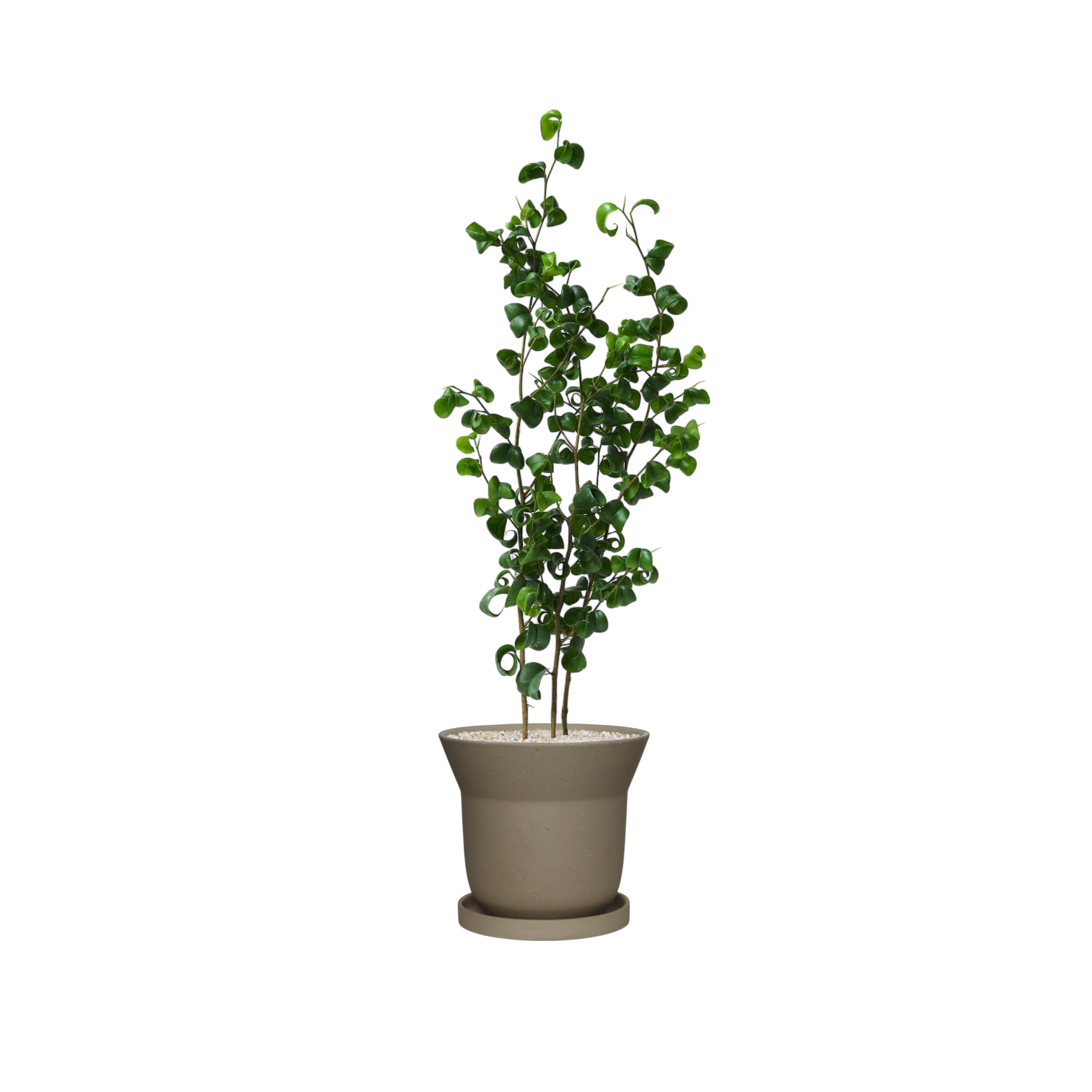 ZIMMU Bell-Shaped Ceramic Pot